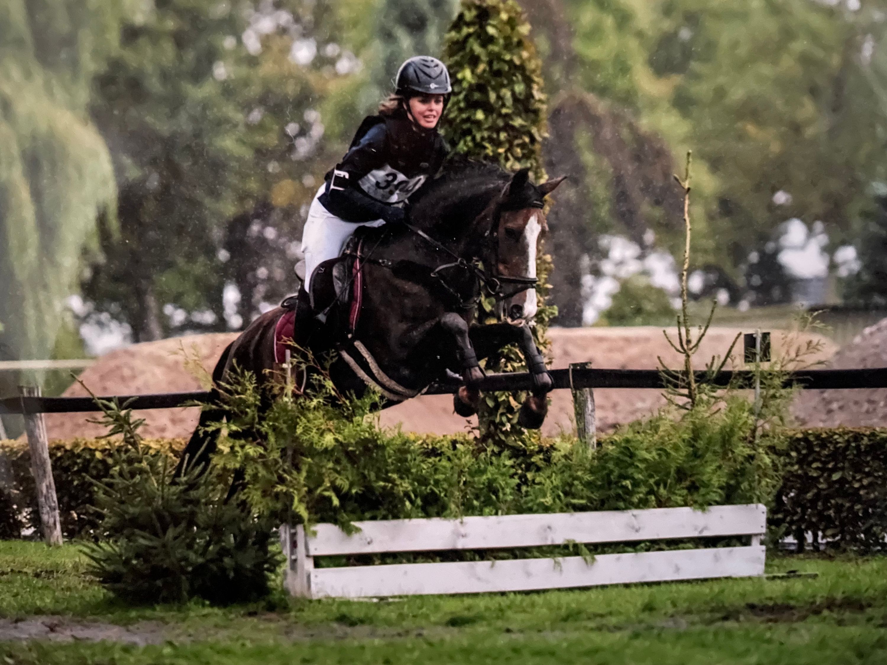spaans allround-pony merrie 12 years old kastanje for sale - Photo 6