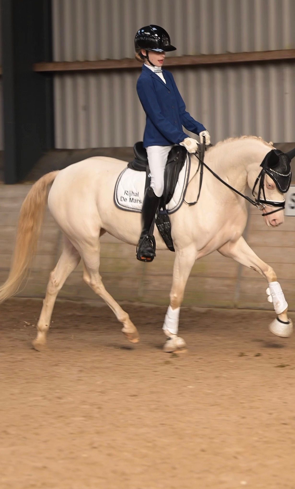 nrps dressuurpony merrie 5 rokov andere-kleur na predaj - Foto 6