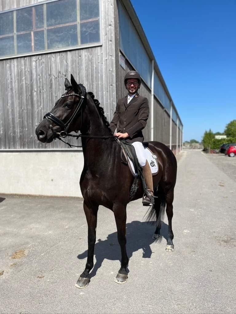 bwp dressuurpaard merrie 10 سنوات zwart للبيع - صورة 4