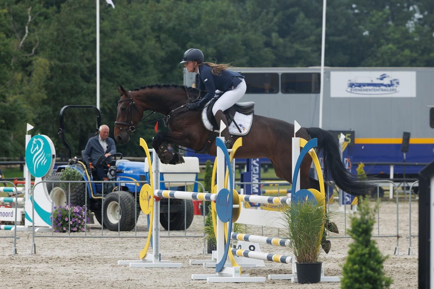 Super brave 5-jarige springmerrie met potentie.