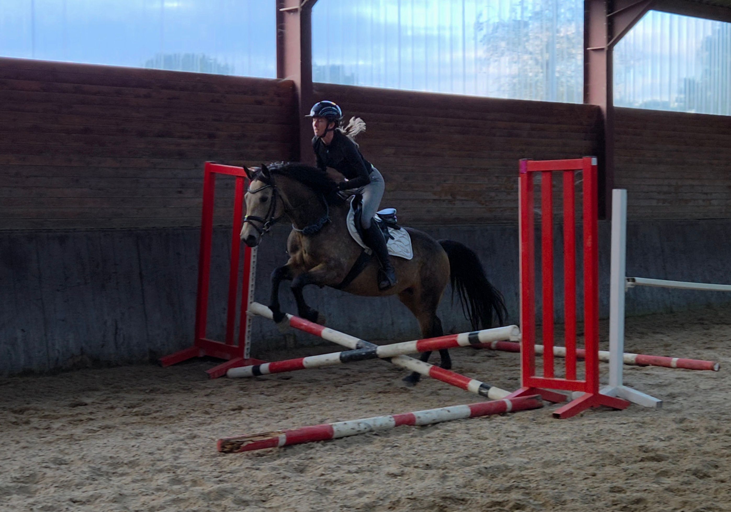 connemara allround-pony merrie 3 ans andere-kleur à vendre - Photo 3