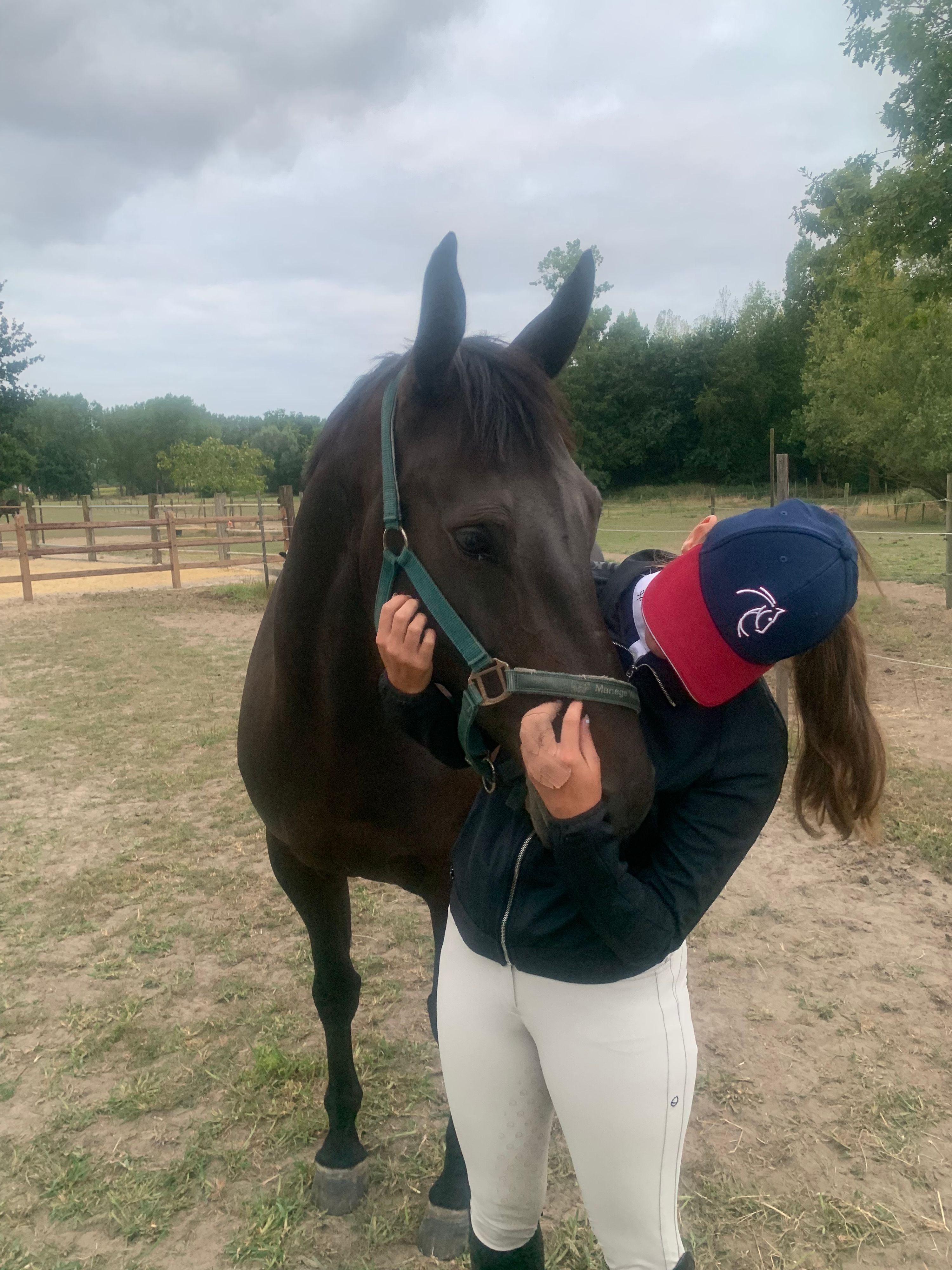 bwp springpaard merrie 8 ans donkerbruin à vendre - Photo 4