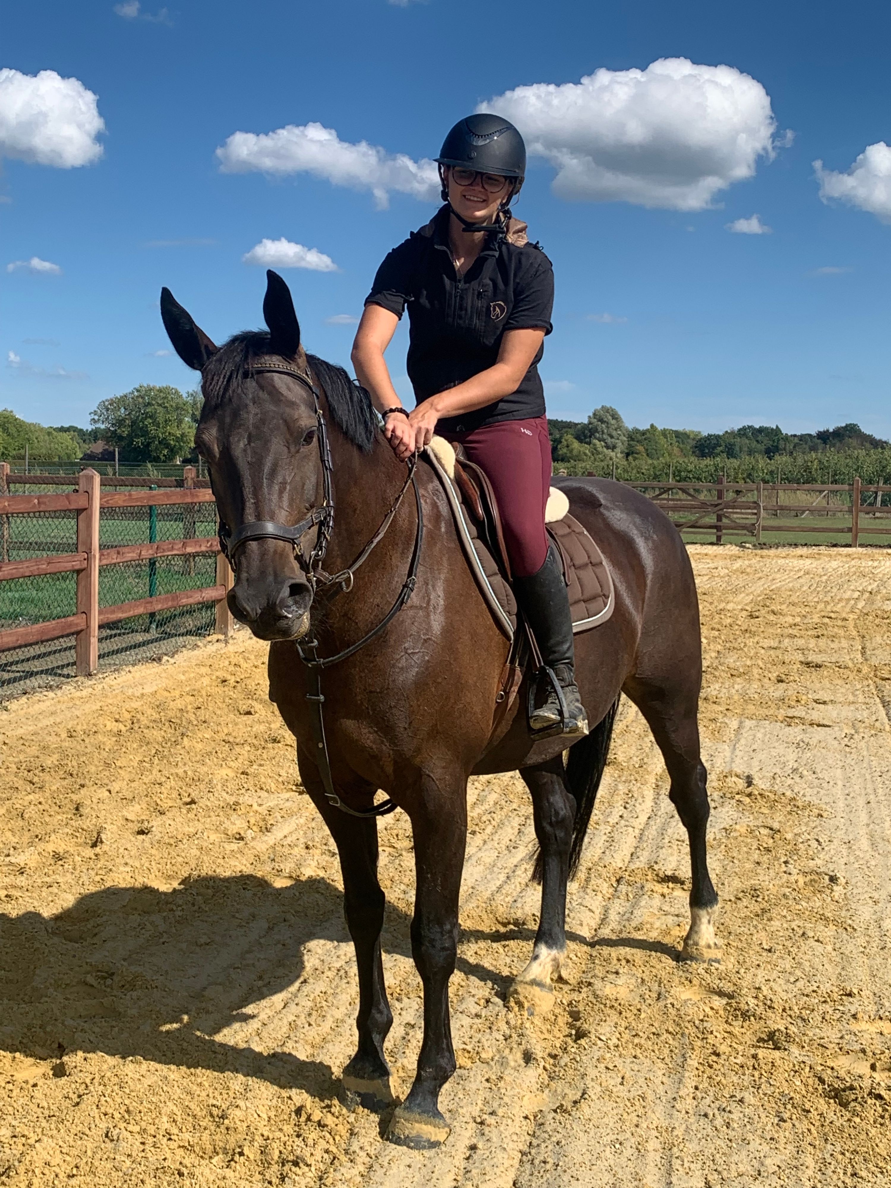 bwp springpaard merrie 8 ans donkerbruin à vendre - Photo 5