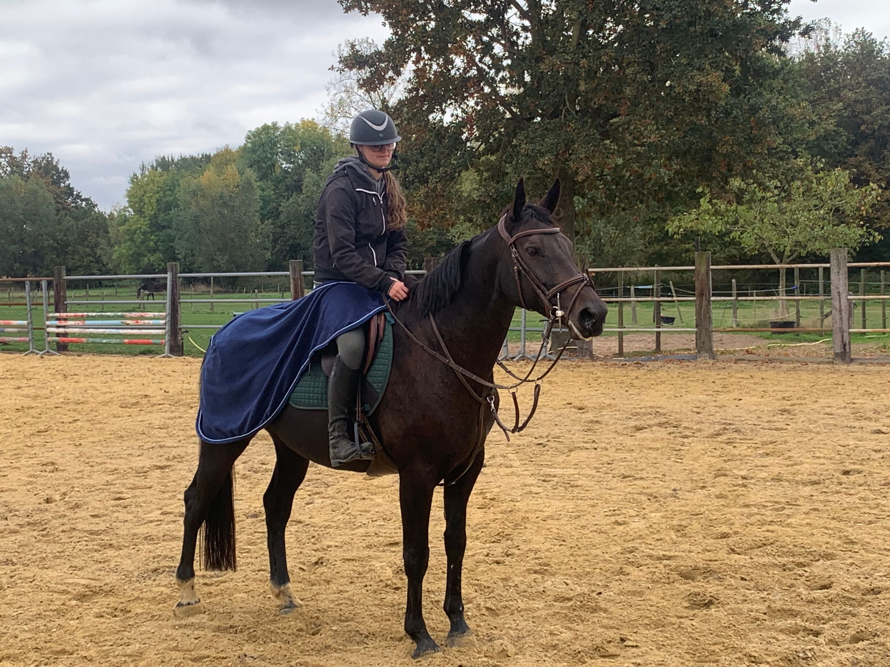 bwp springpaard merrie 8 ans donkerbruin à vendre - Photo 6