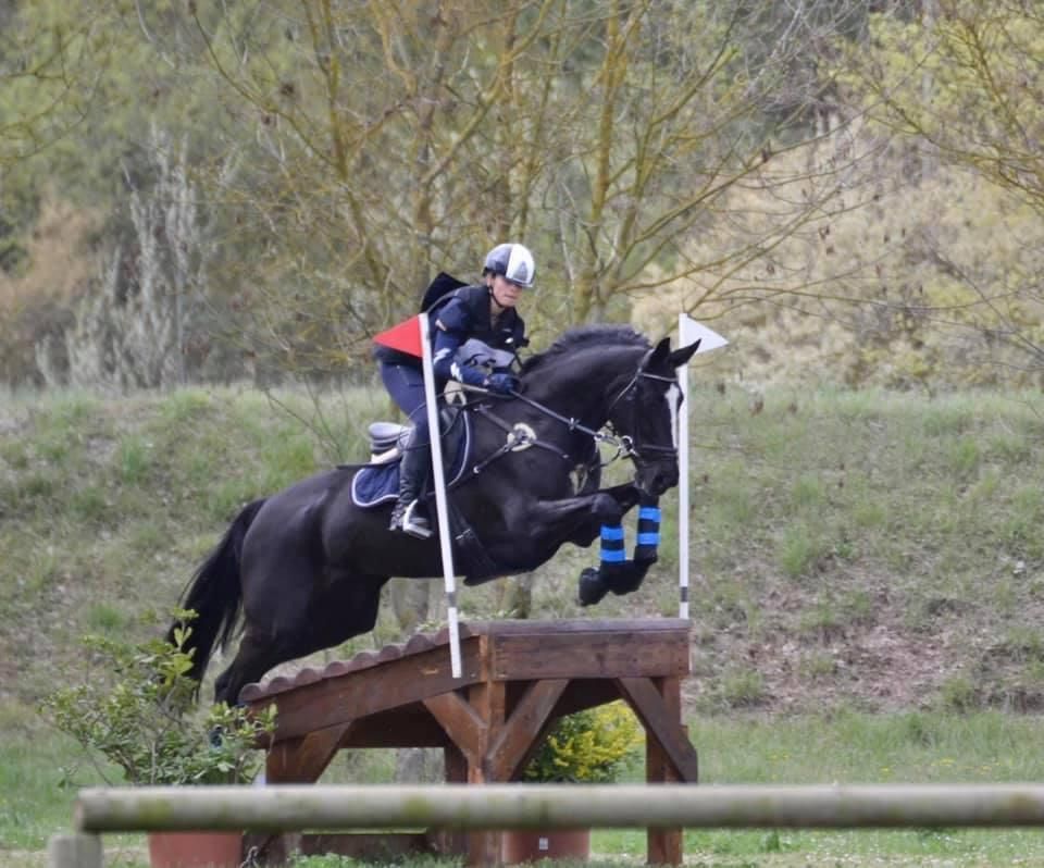 kwpn dressuurpaard merrie 8 anos zwart à venda - Foto 4