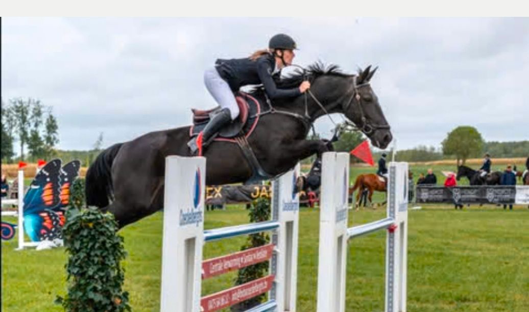 10-jährige Springstute