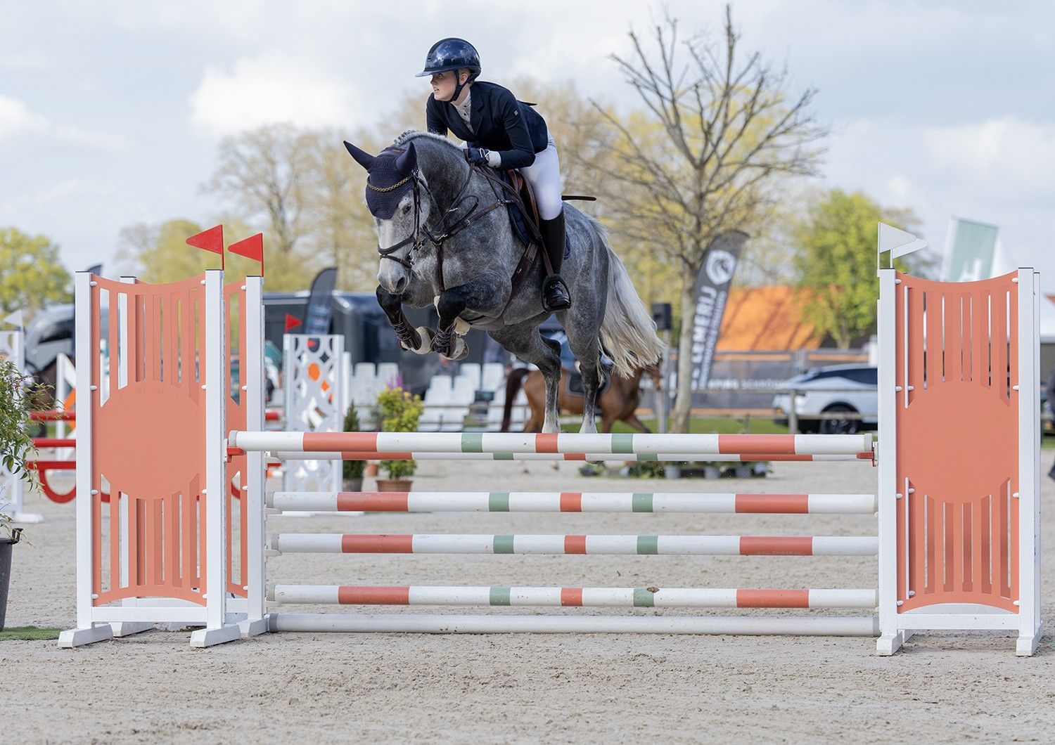 7-jährige Stute mit Vermögen (James SB x Odermus R)