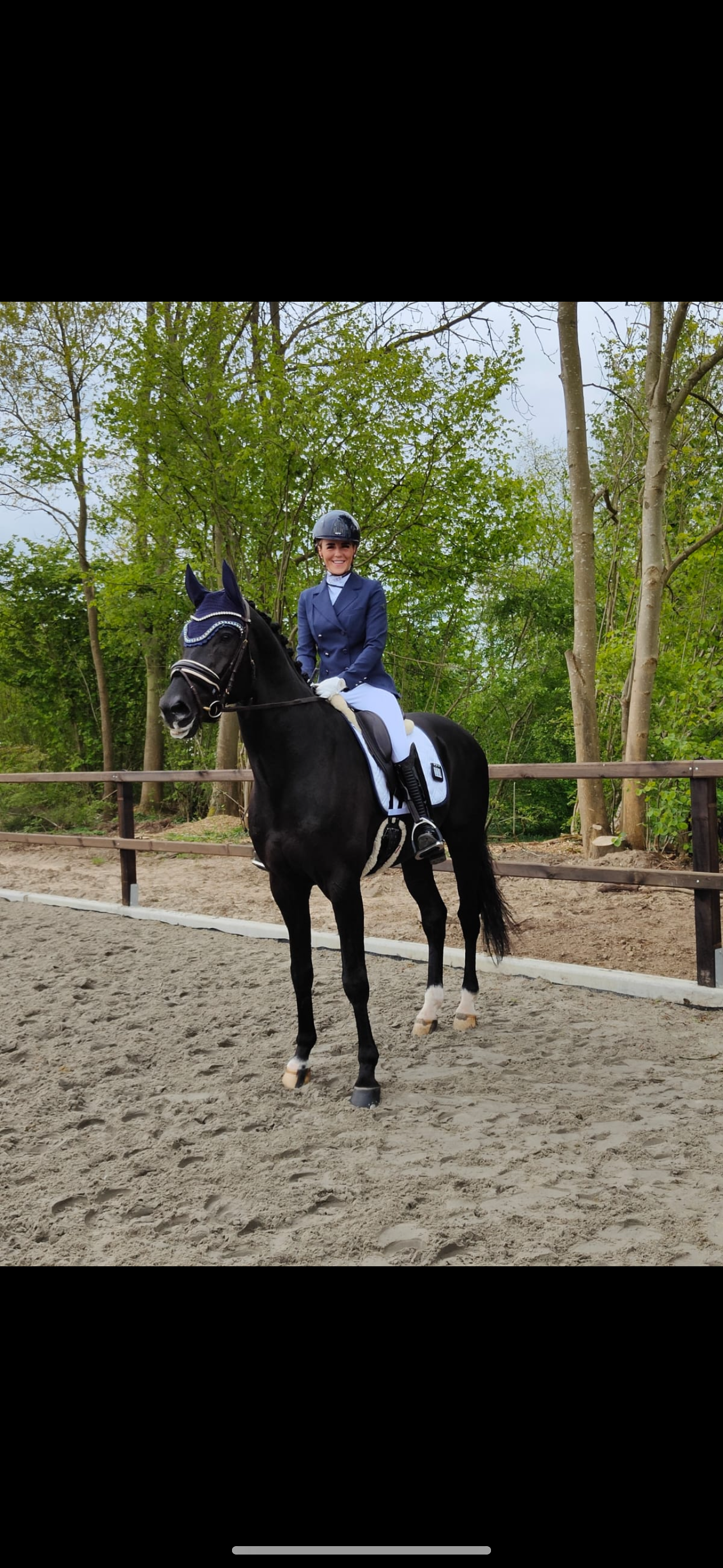 kwpn dressuurpaard ruin 8 år zwart till salu - Foto 4