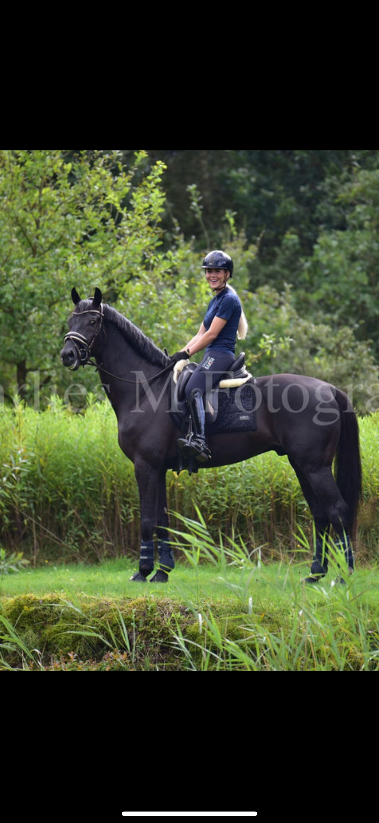 kwpn dressuurpaard ruin 8 år zwart till salu - Foto 3