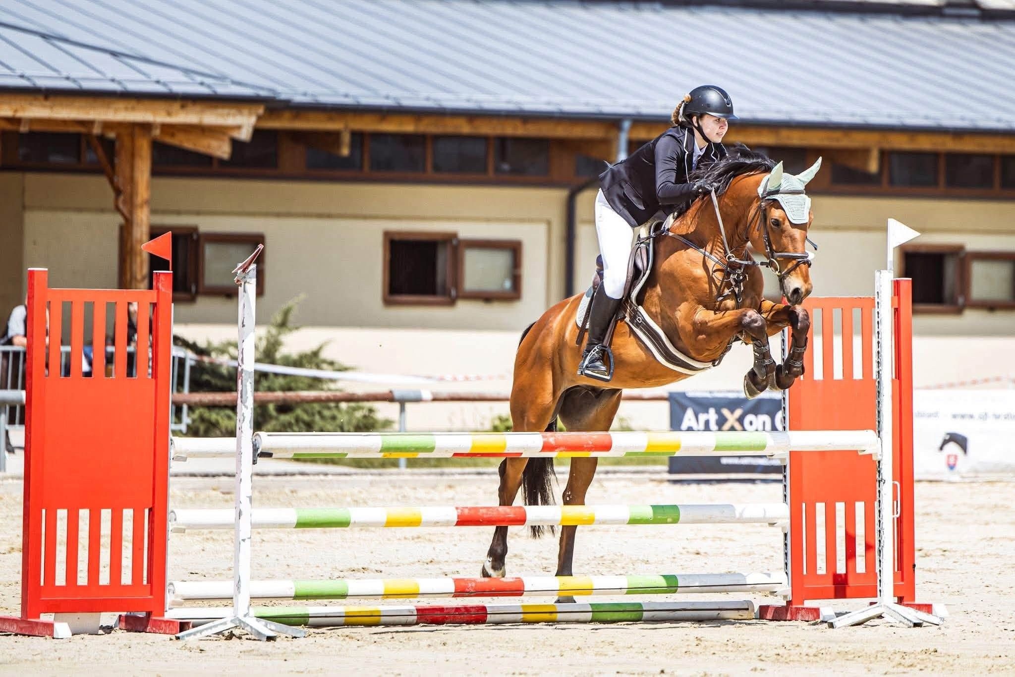 slowaaks springpaard ruin 13 岁 bruin 出售 - 照片 4