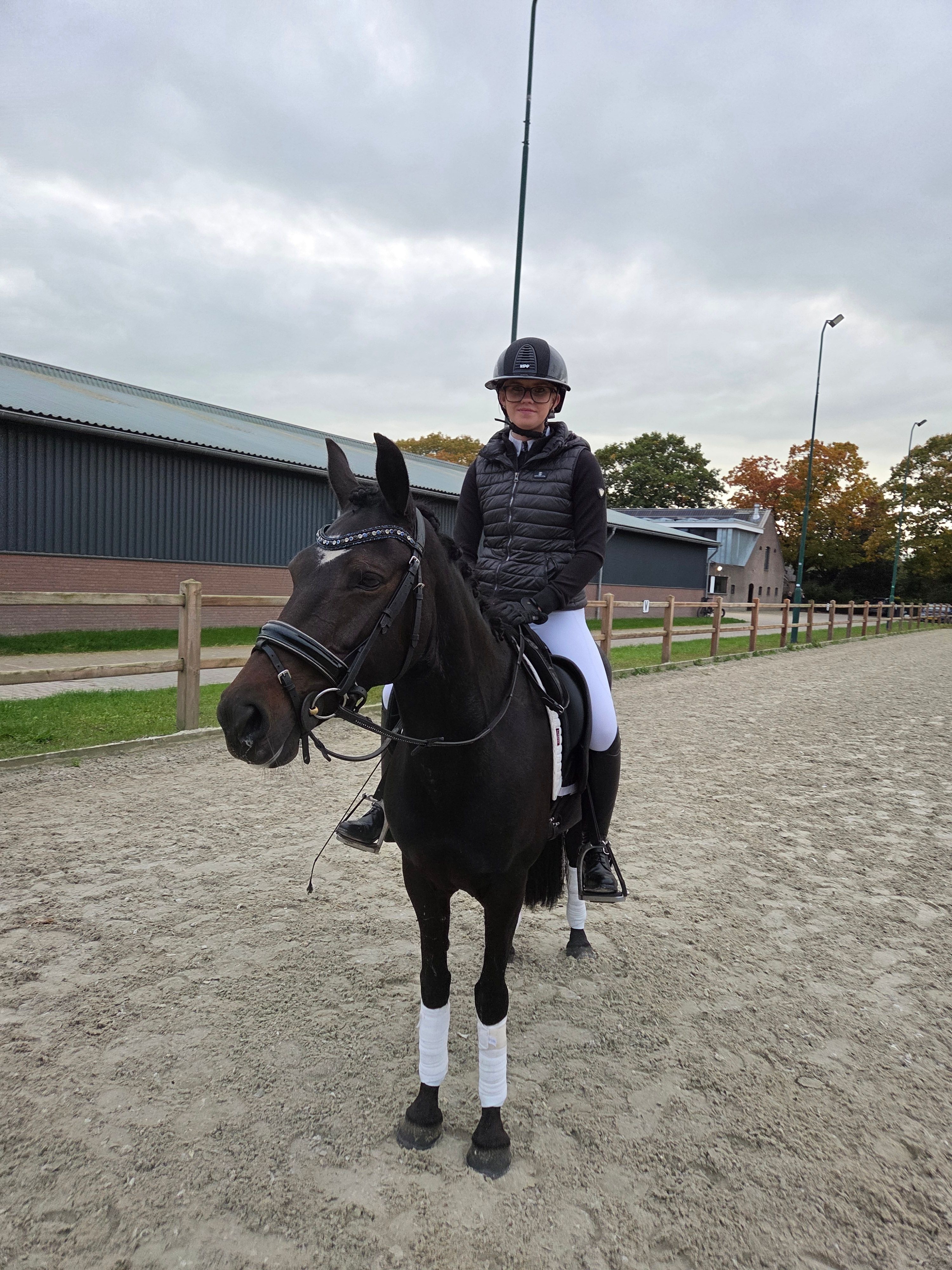 new-forest allround-pony merrie 10 år donkerbruin till salu - Foto 4