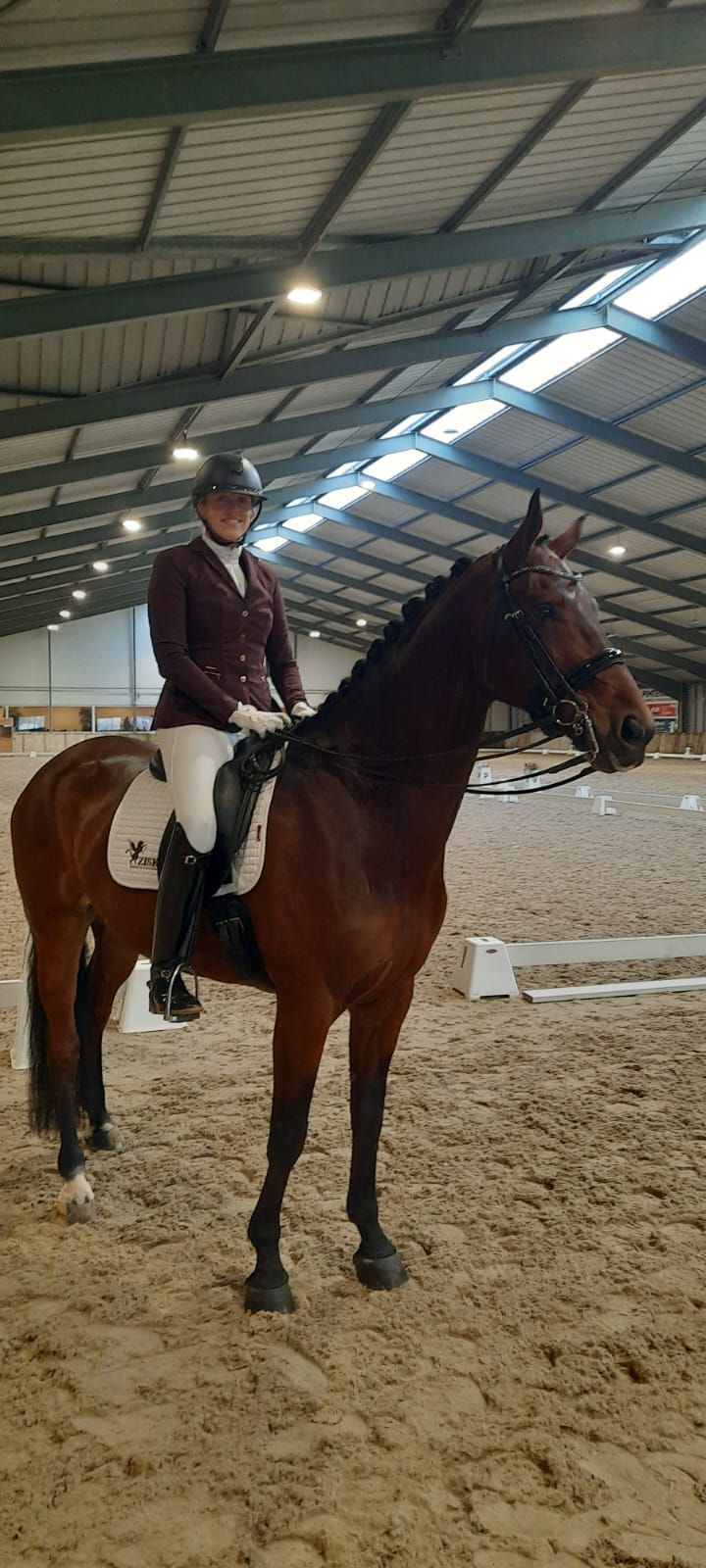 hanovarian dressuurpaard ruin 10 år bruin till salu - Foto 2