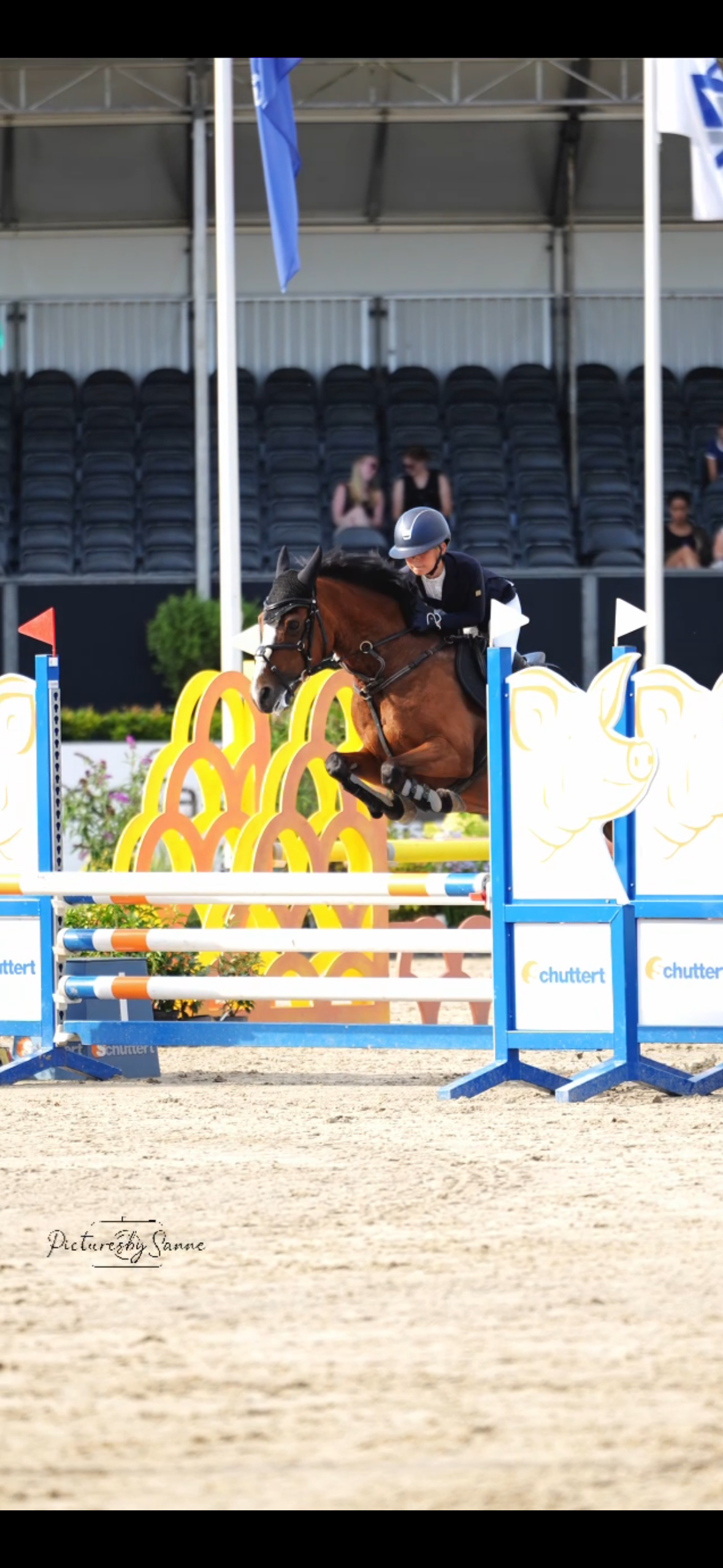 Super brave kinder (spring) pony