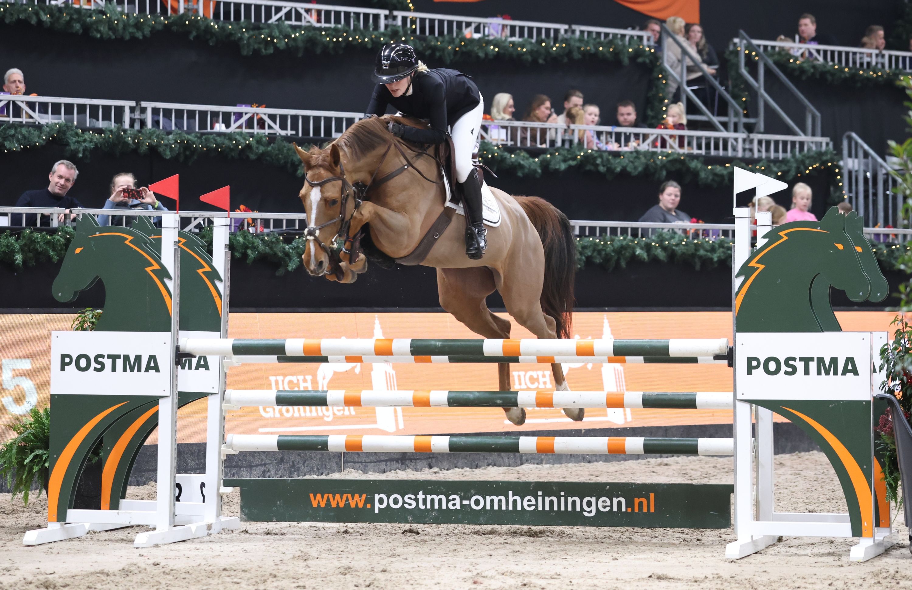 6 jarige groene merrie met potentie