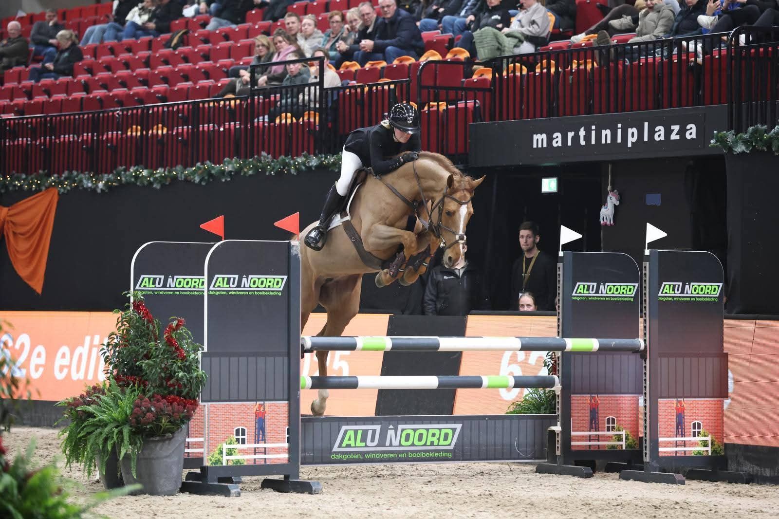 kwpn springpaard merrie 6 vuotta vos myytävänä - Kuva 2