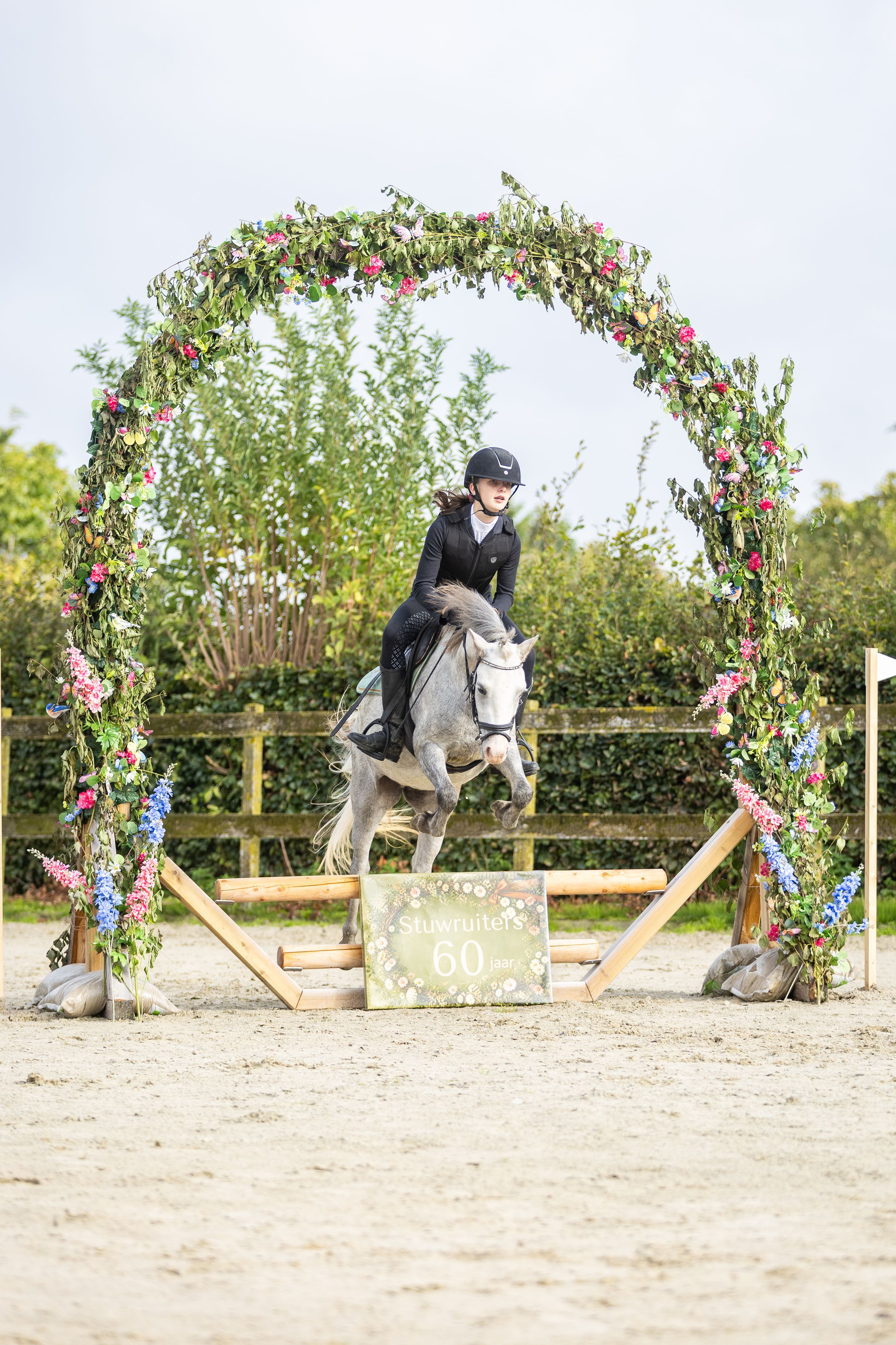 allround-pony merrie 4 سنوات للبيع - صورة 5