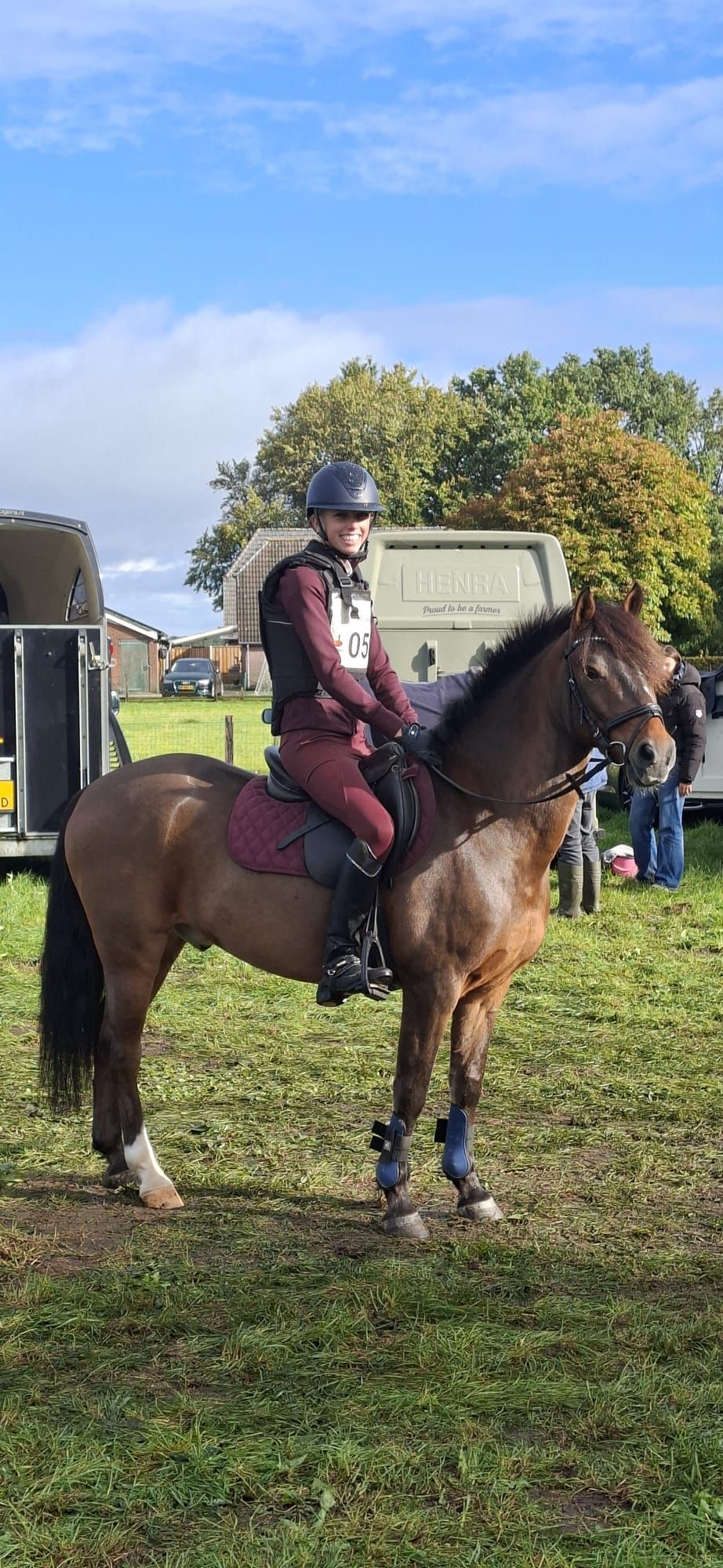 allround-pony ruin 9 år bruin till salu - Foto 4