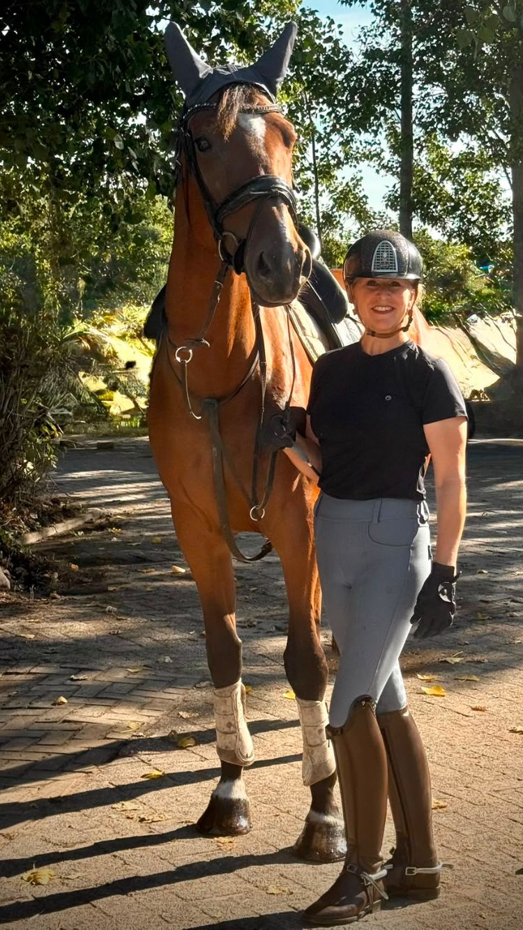 kwpn springpaard merrie 5 år bruin till salu - Foto 4