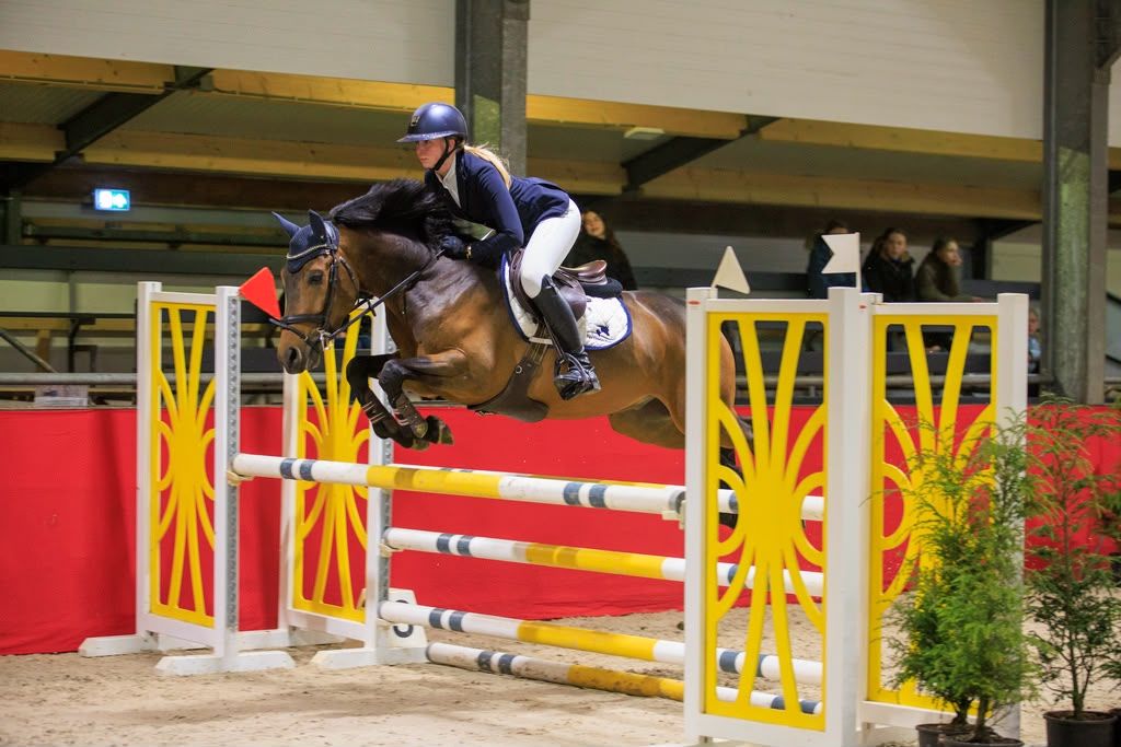 Super snill sportponni til salgs