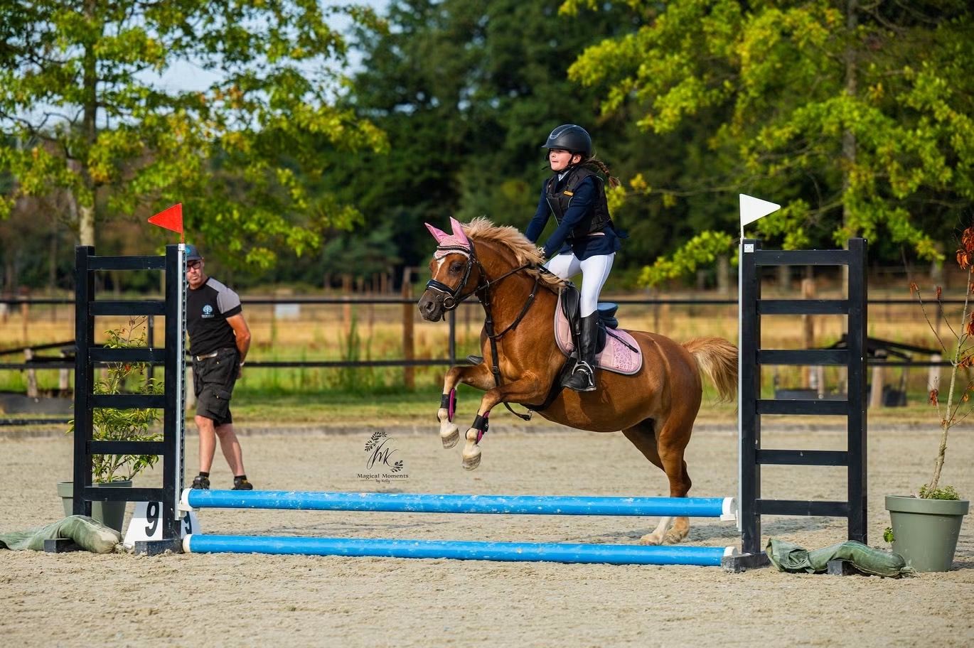 allround-pony merrie 8 años bruin en venta - Foto 2