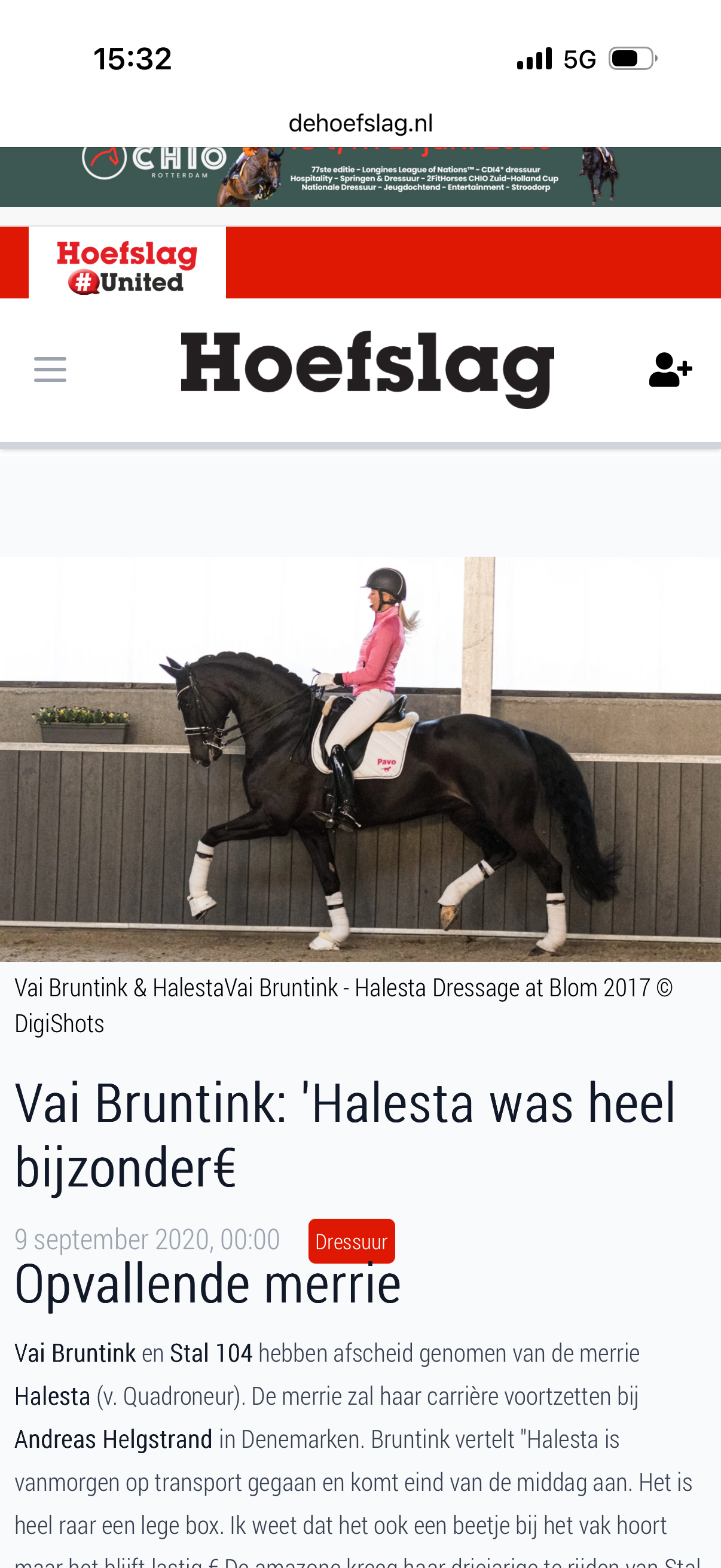 kwpn dressuurpaard merrie 8 years old zwart for sale - Photo 3
