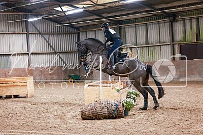 zangersheide allrounder ruin 11 years old donkerbruin for sale - Photo 6