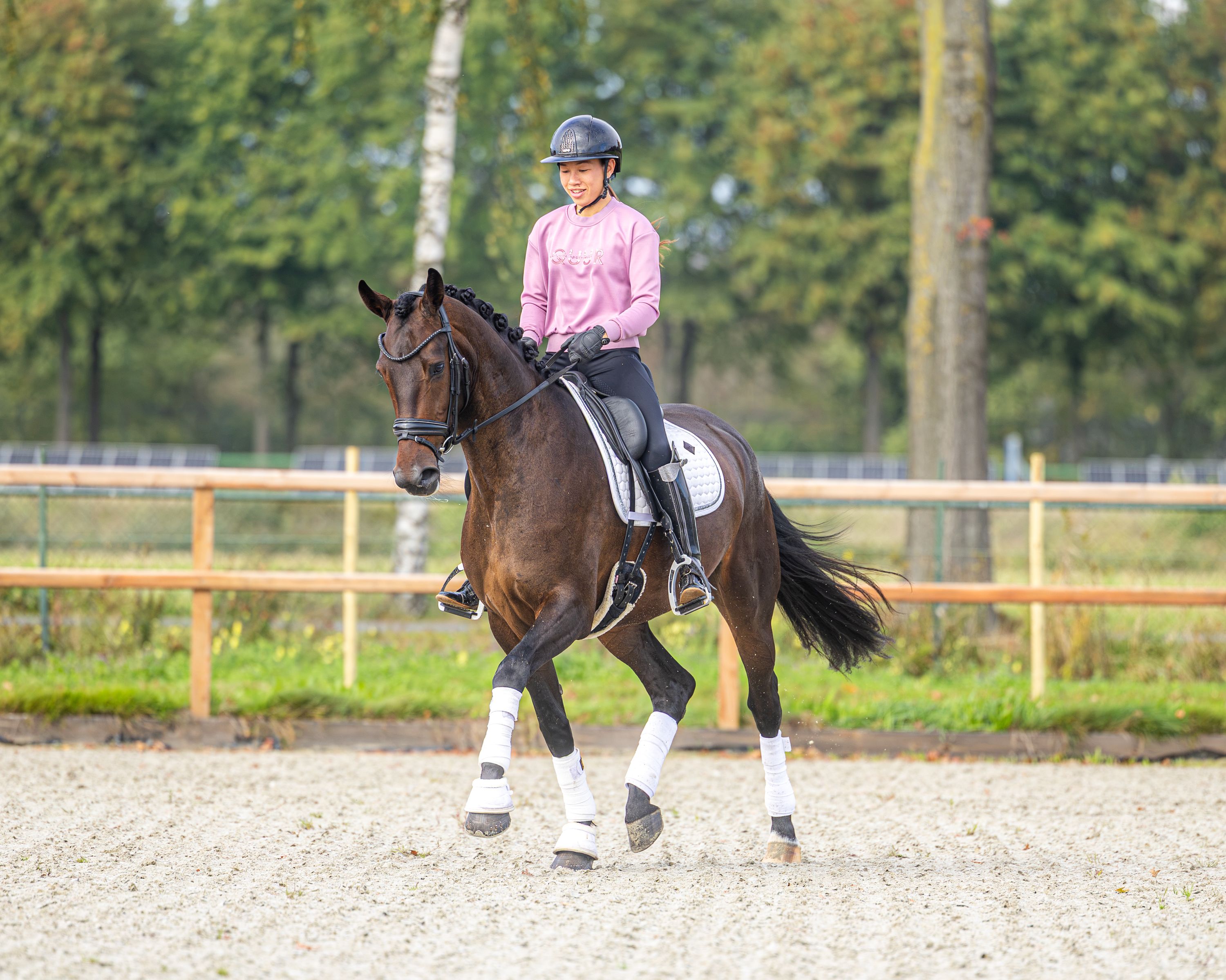 kwpn dressuurpaard merrie 4 jaar donkerbruin te koop - Foto 3