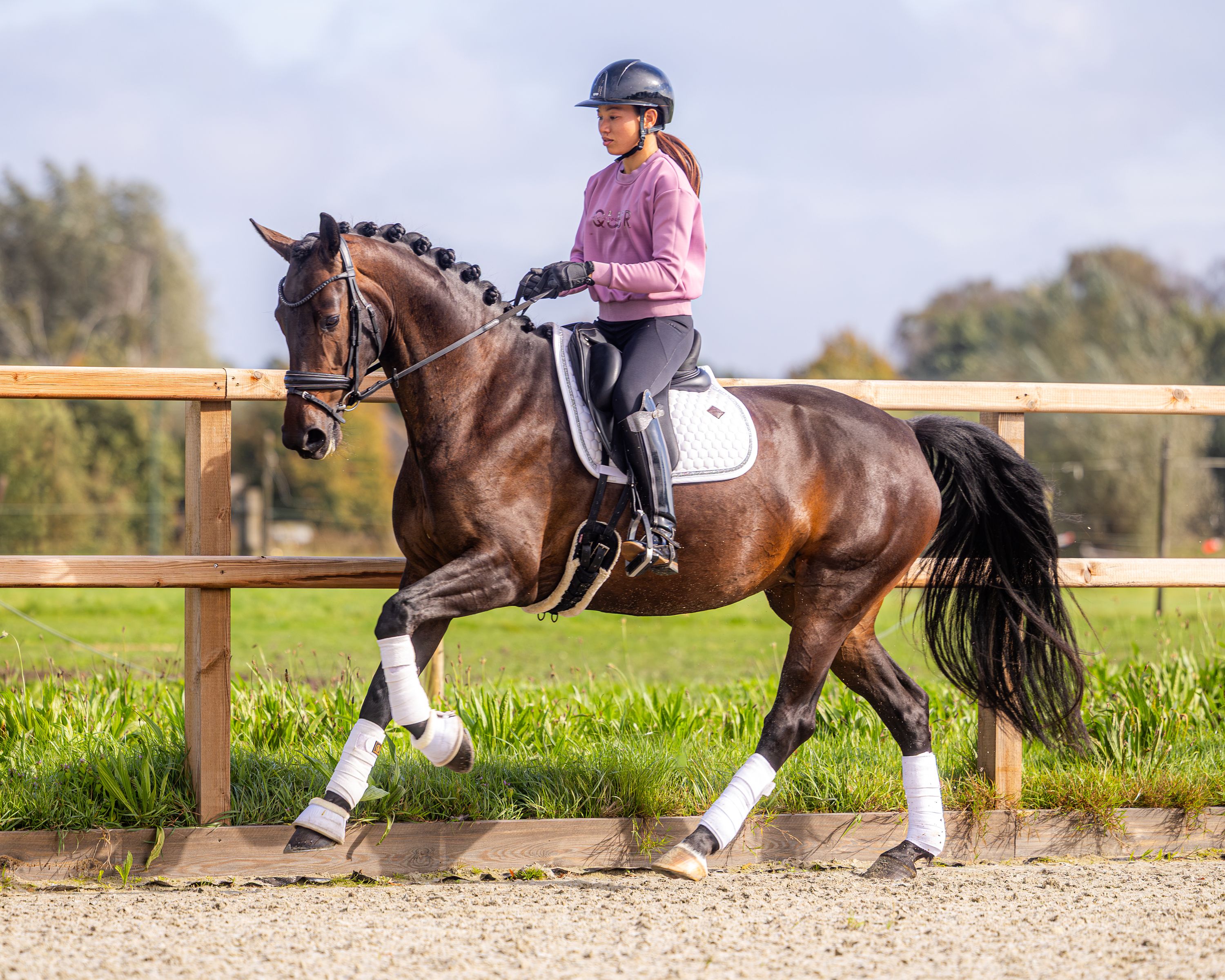 kwpn dressuurpaard merrie 4 jaar donkerbruin te koop - Foto 2
