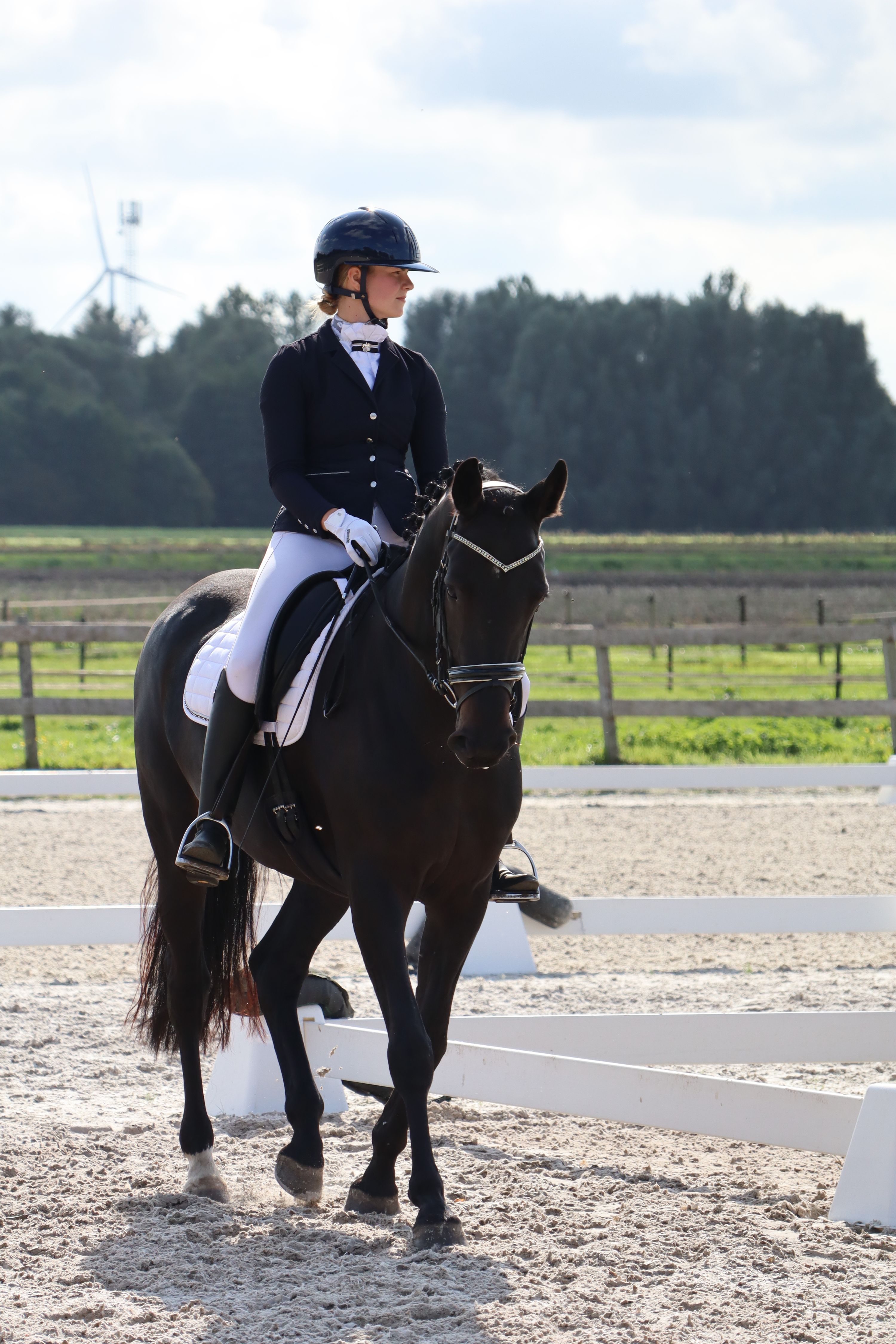 kwpn dressuurpaard merrie 6 years old zwart for sale - Photo 3