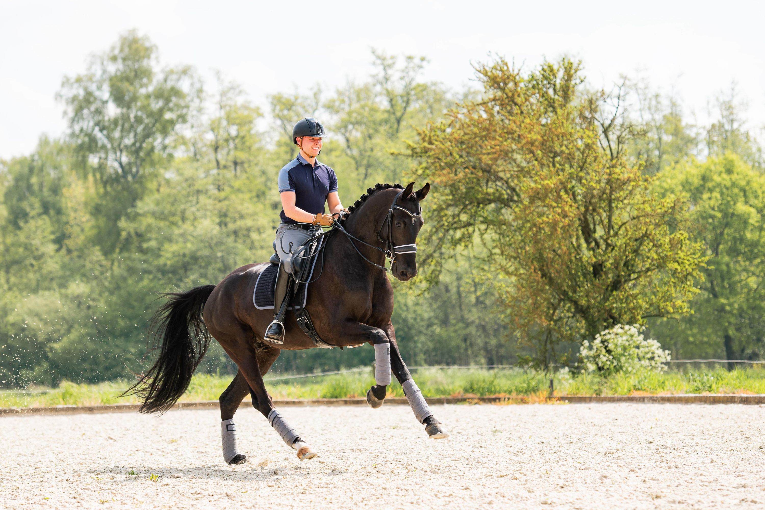 KWPN dressuurpaard ruin 12 years old zwart for sale - Photo 4