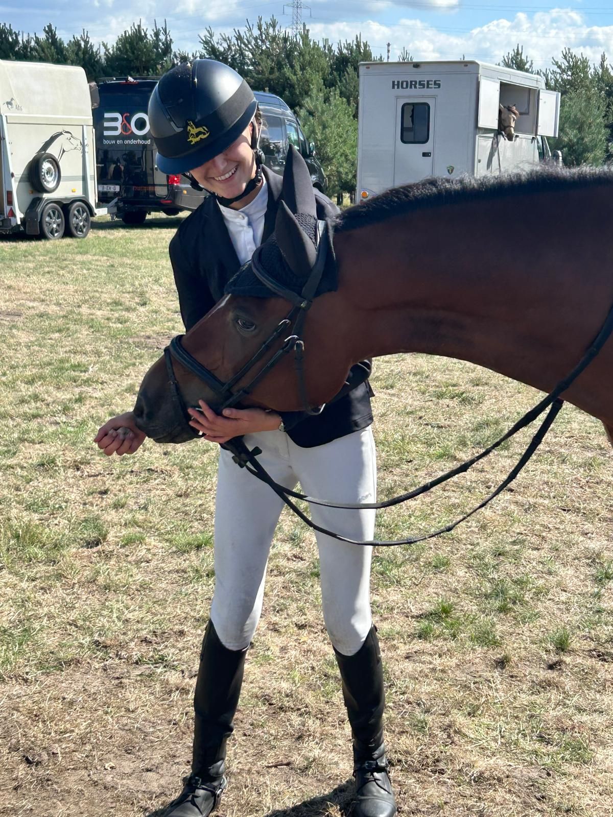 bwp dressuurpony ruin 17 years old bruin for sale - Photo 4