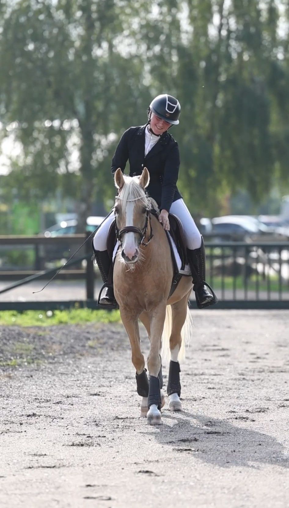 welsh allround-pony ruin 4 سنوات palomino للبيع - صورة 2