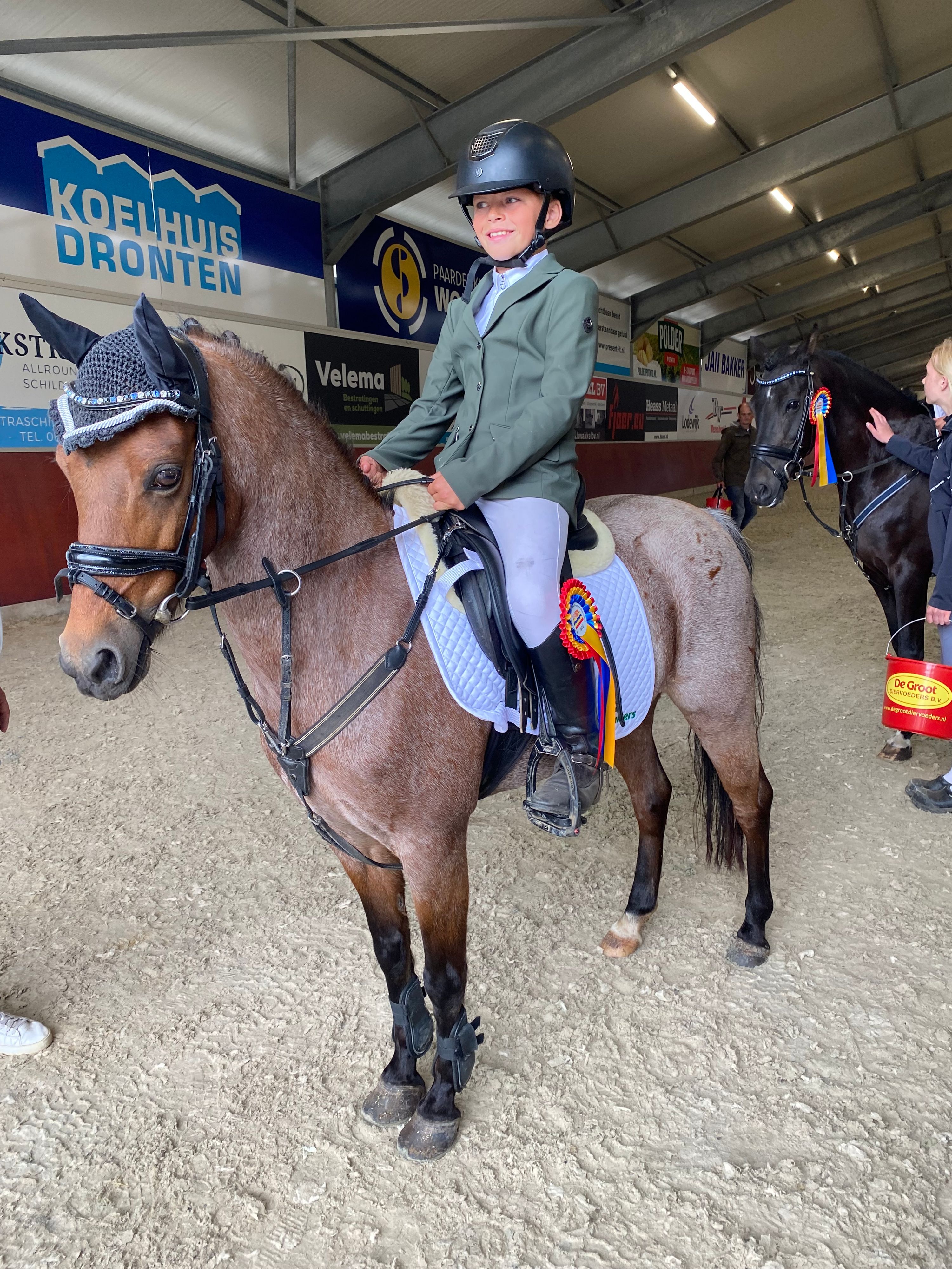 For sale: our sweet Essie, Welsh pony mare