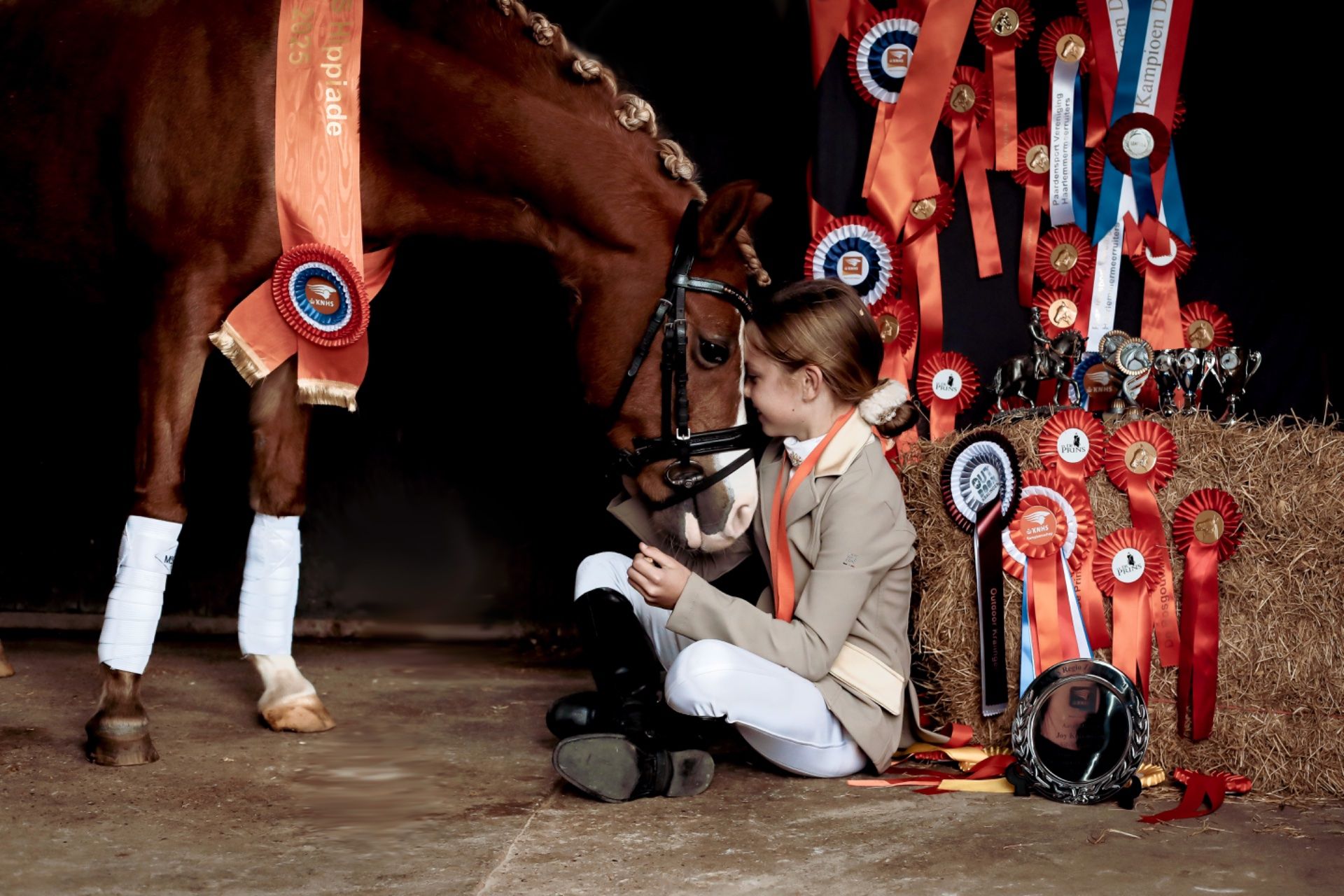 welsh dressuurpony merrie 17 vuotta vos myytävänä - Kuva 3