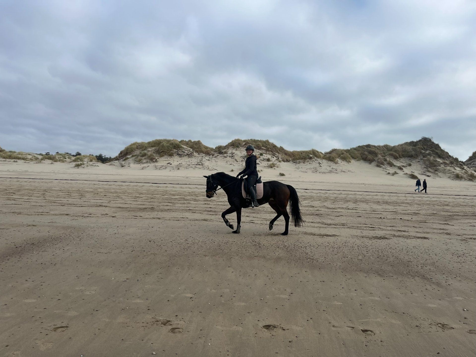 kwpn dressuurpaard merrie 6 سنوات donkerbruin للبيع - صورة 4