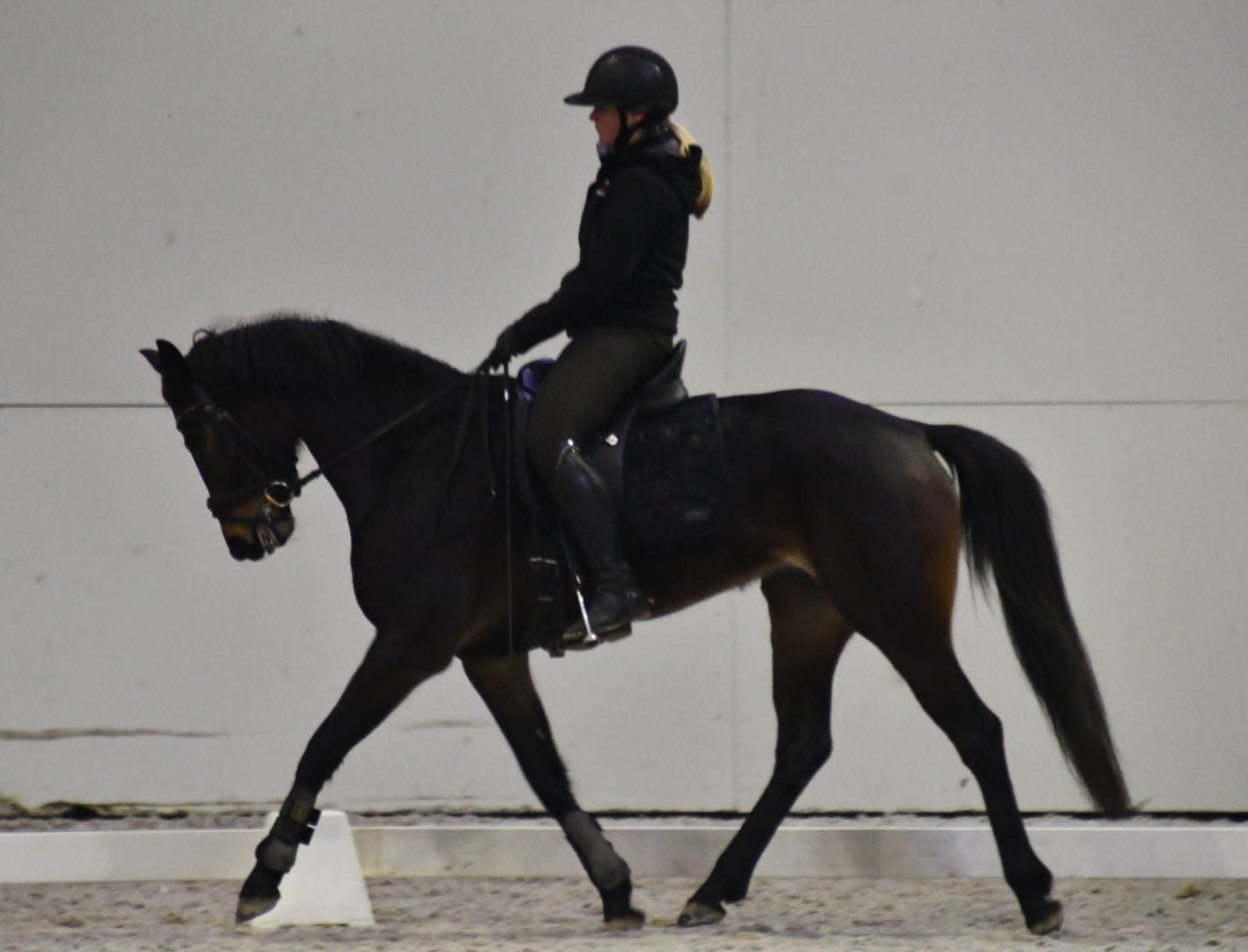 kwpn dressuurpaard merrie 6 سنوات donkerbruin للبيع - صورة 6