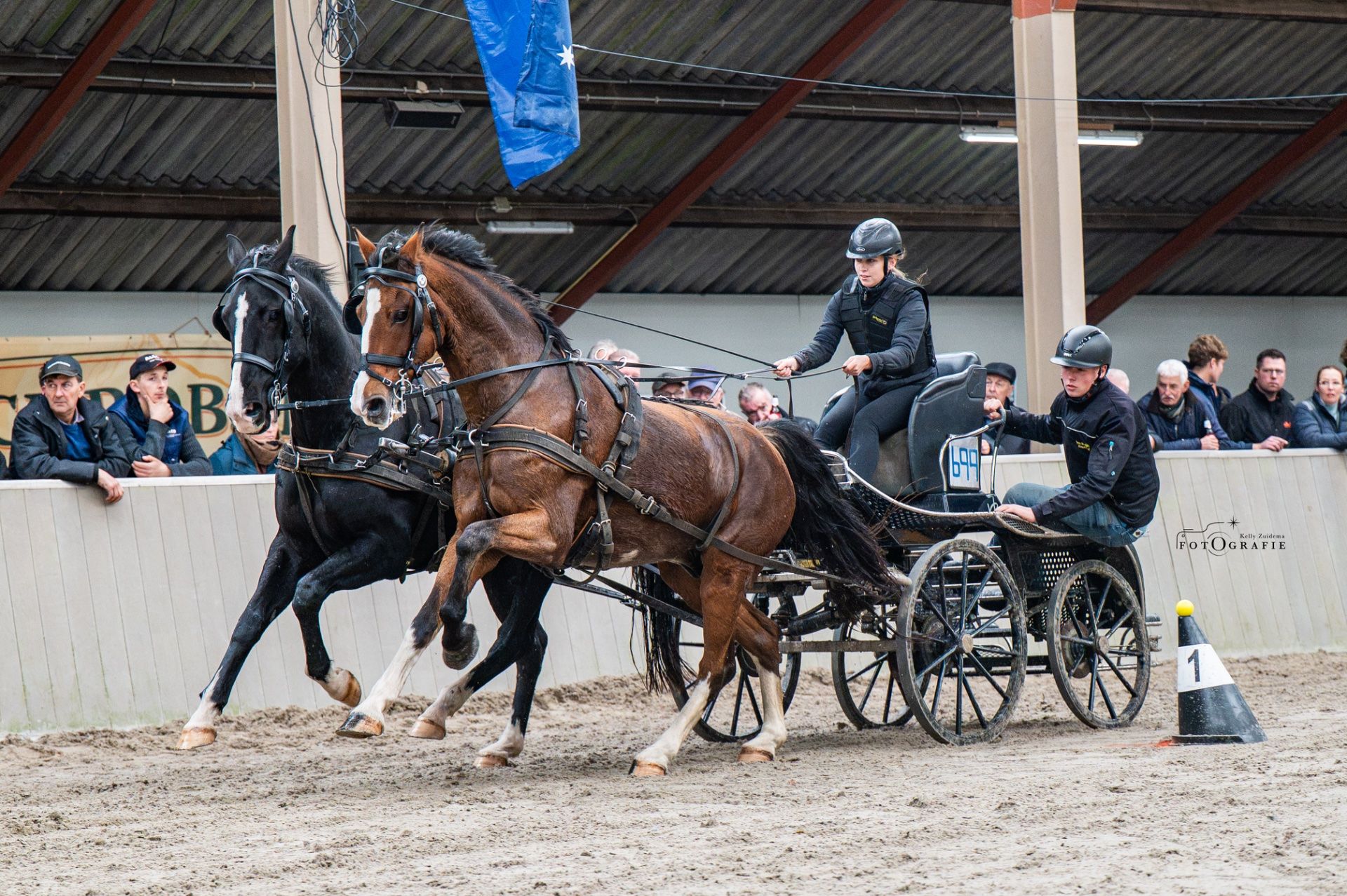 KWPN tuigpaard ruin 14 ans bruin à vendre - Photo 2