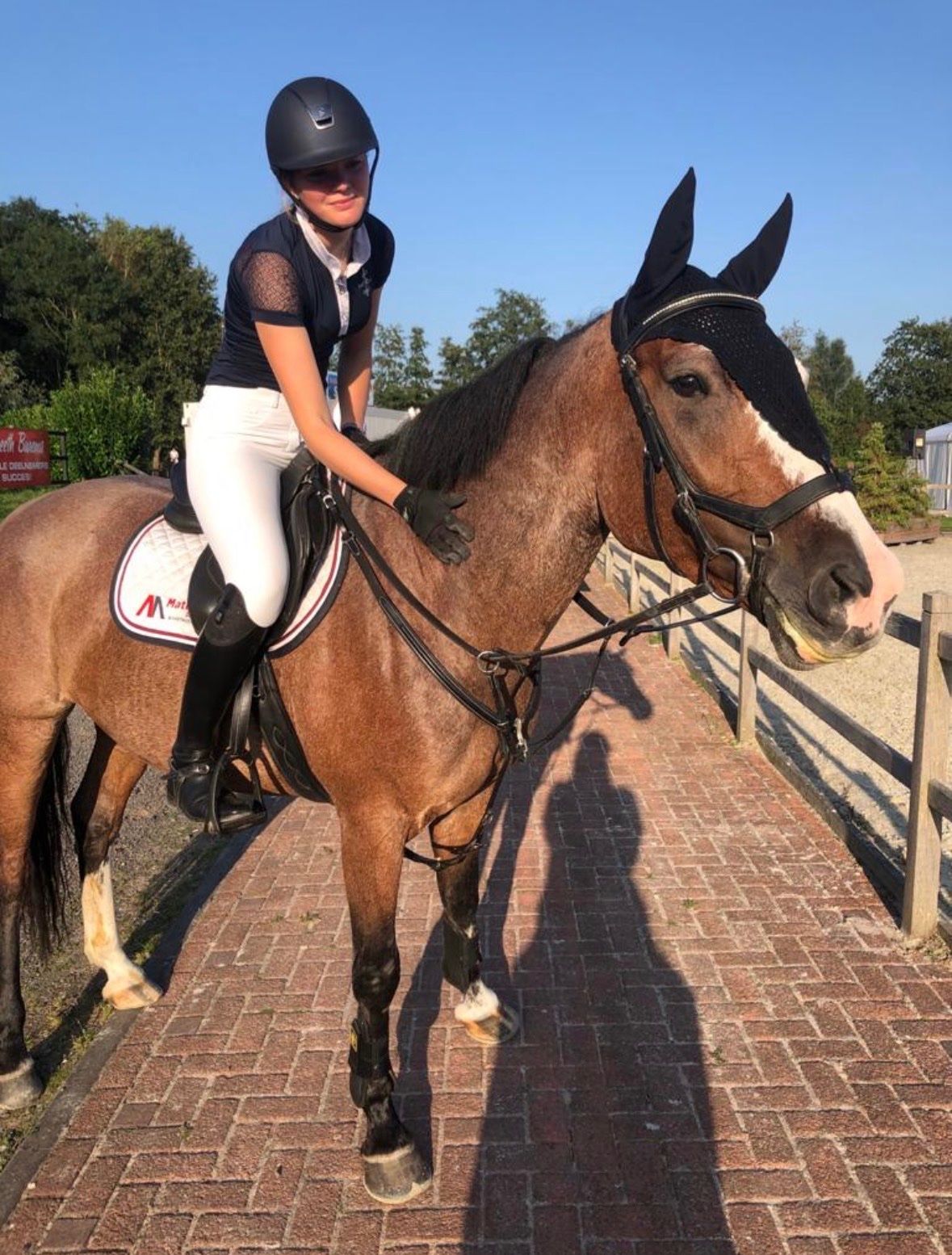 kwpn allrounder merrie 11 ans roan à vendre - Photo 5