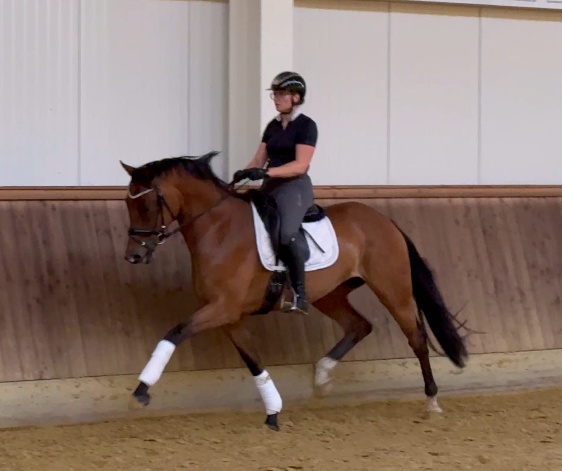 oldenburg dressuurpaard merrie 4 ans bruin à vendre - Photo 2