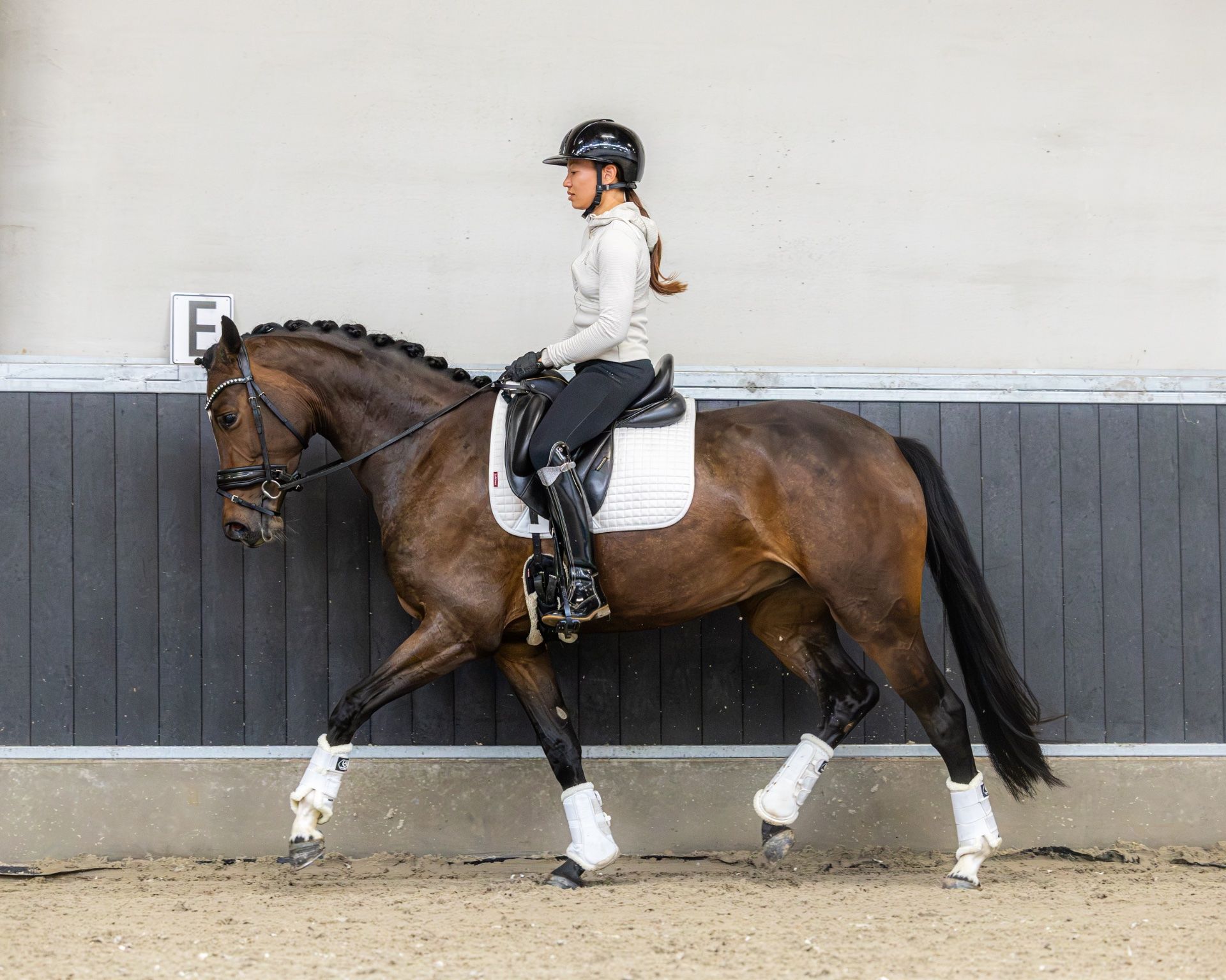 dressuurpaard merrie 3 ans bruin à vendre - Photo 3