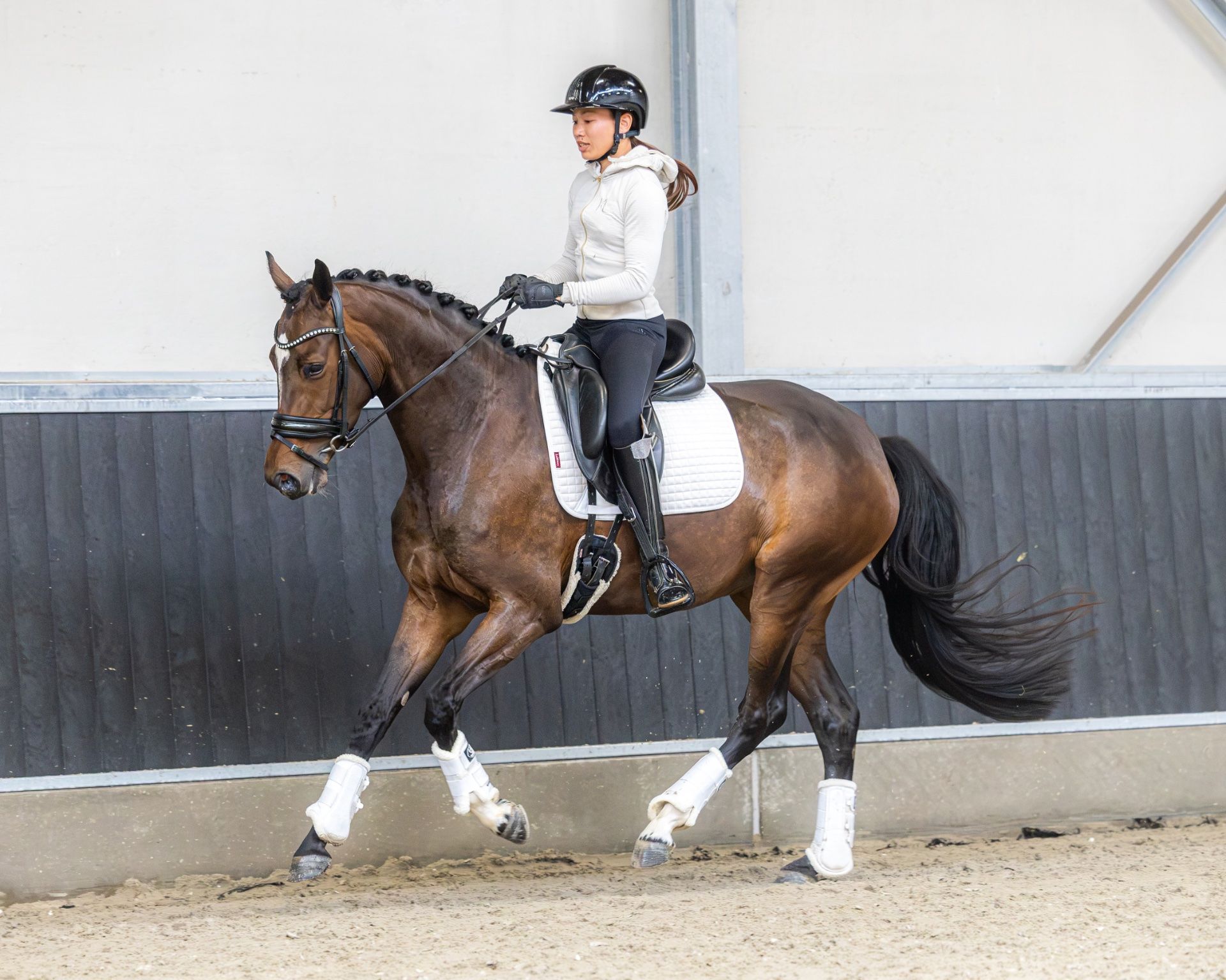 dressuurpaard merrie 3 ans bruin à vendre - Photo 2