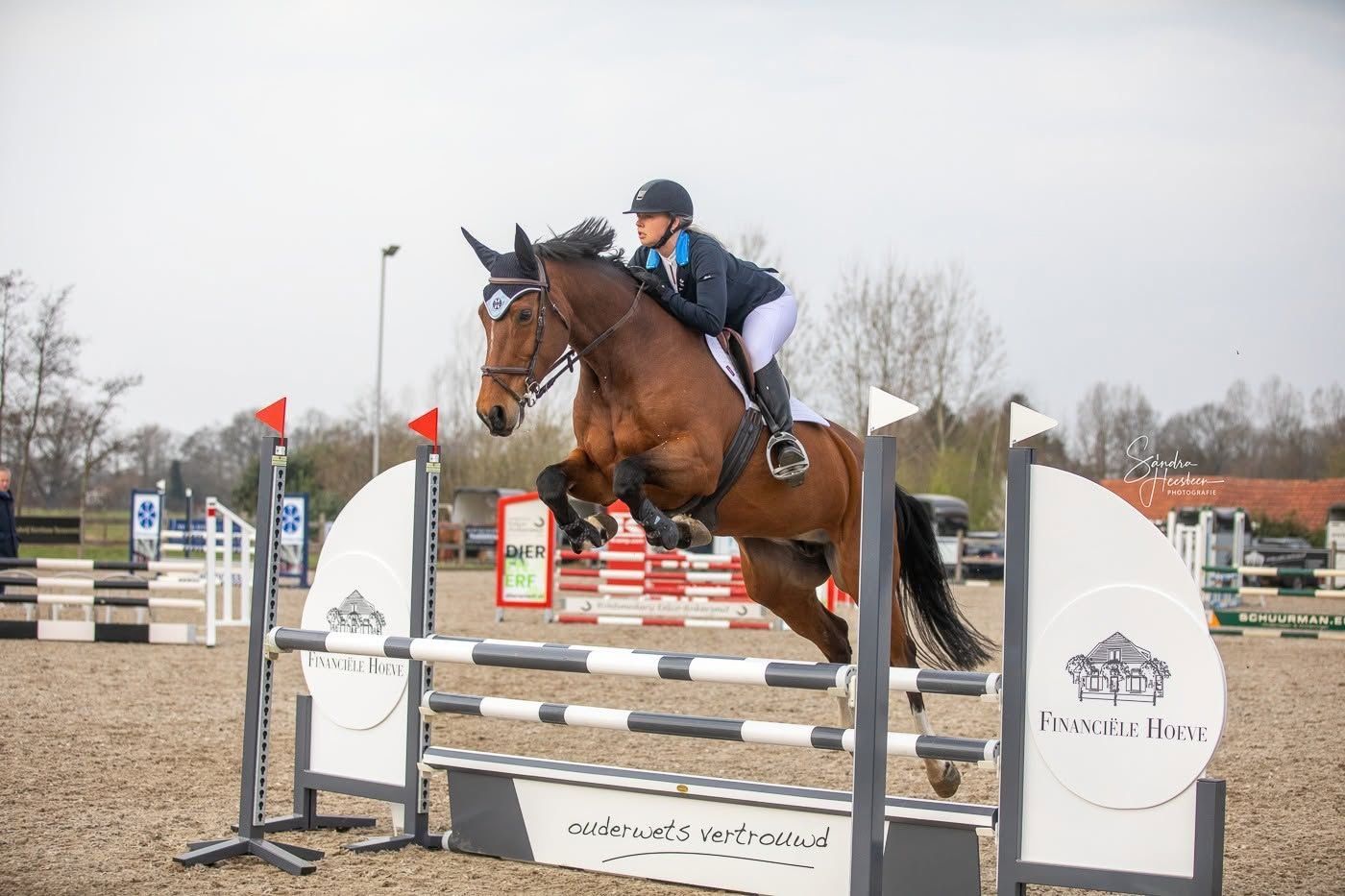 kwpn dressuurpaard ruin 6 años andere-kleur en venta - Foto 5