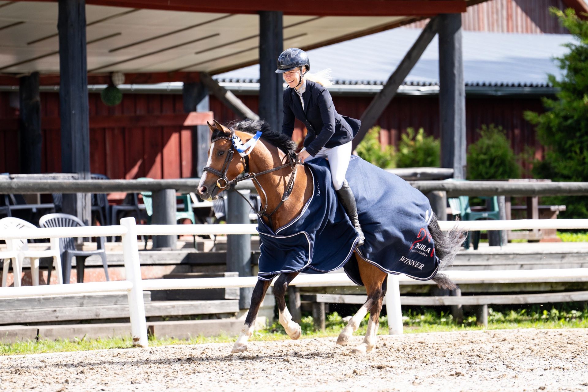 FEI Jumping prospect
