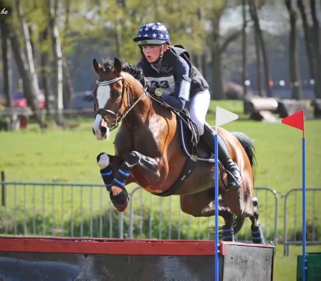 bwp allround-pony merrie 16 ans bruin à vendre - Photo 5