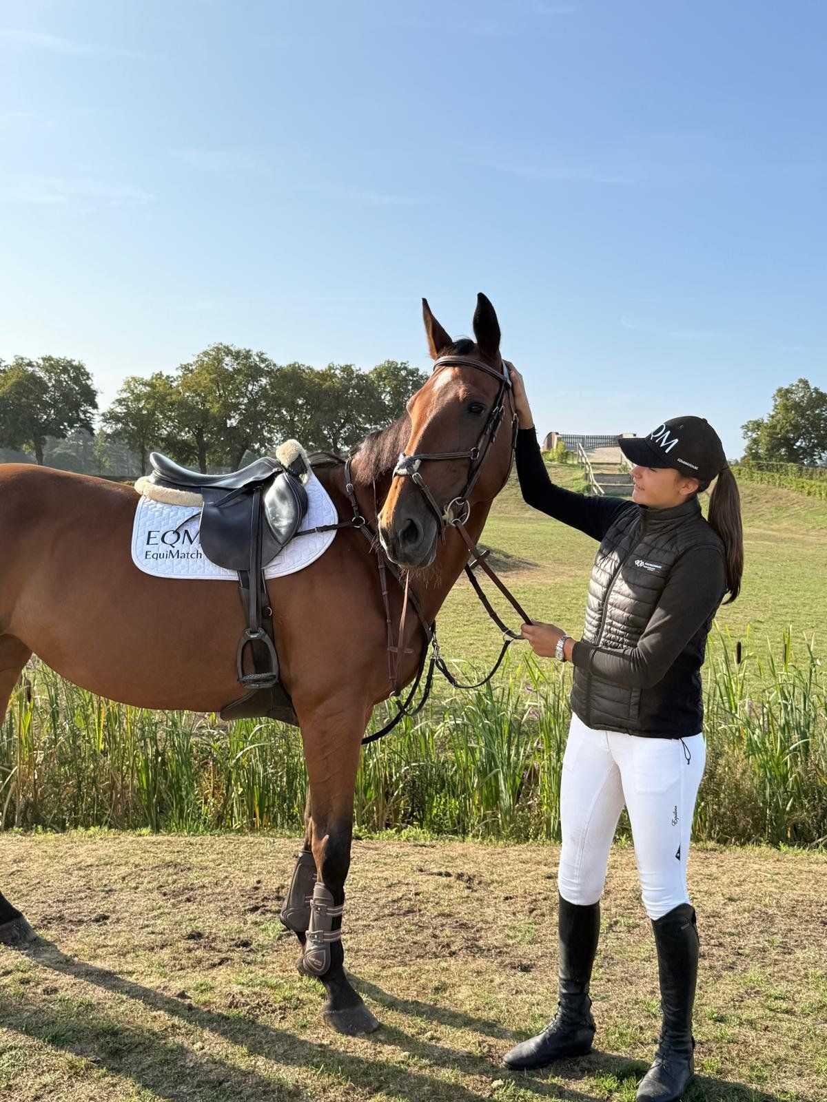 kwpn springpaard merrie 13 岁 bruin 出售 - 照片 4
