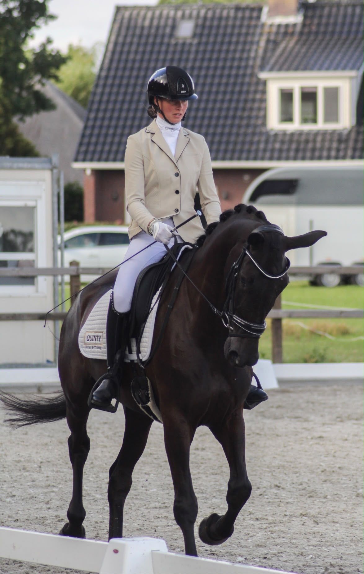 kwpn dressuurpaard merrie 6 years old zwart for sale - Photo 4