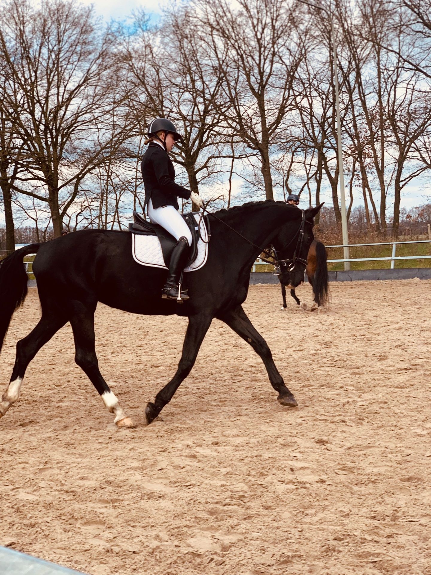 kwpn dressuurpaard merrie 13 ans zwart à vendre - Photo 5