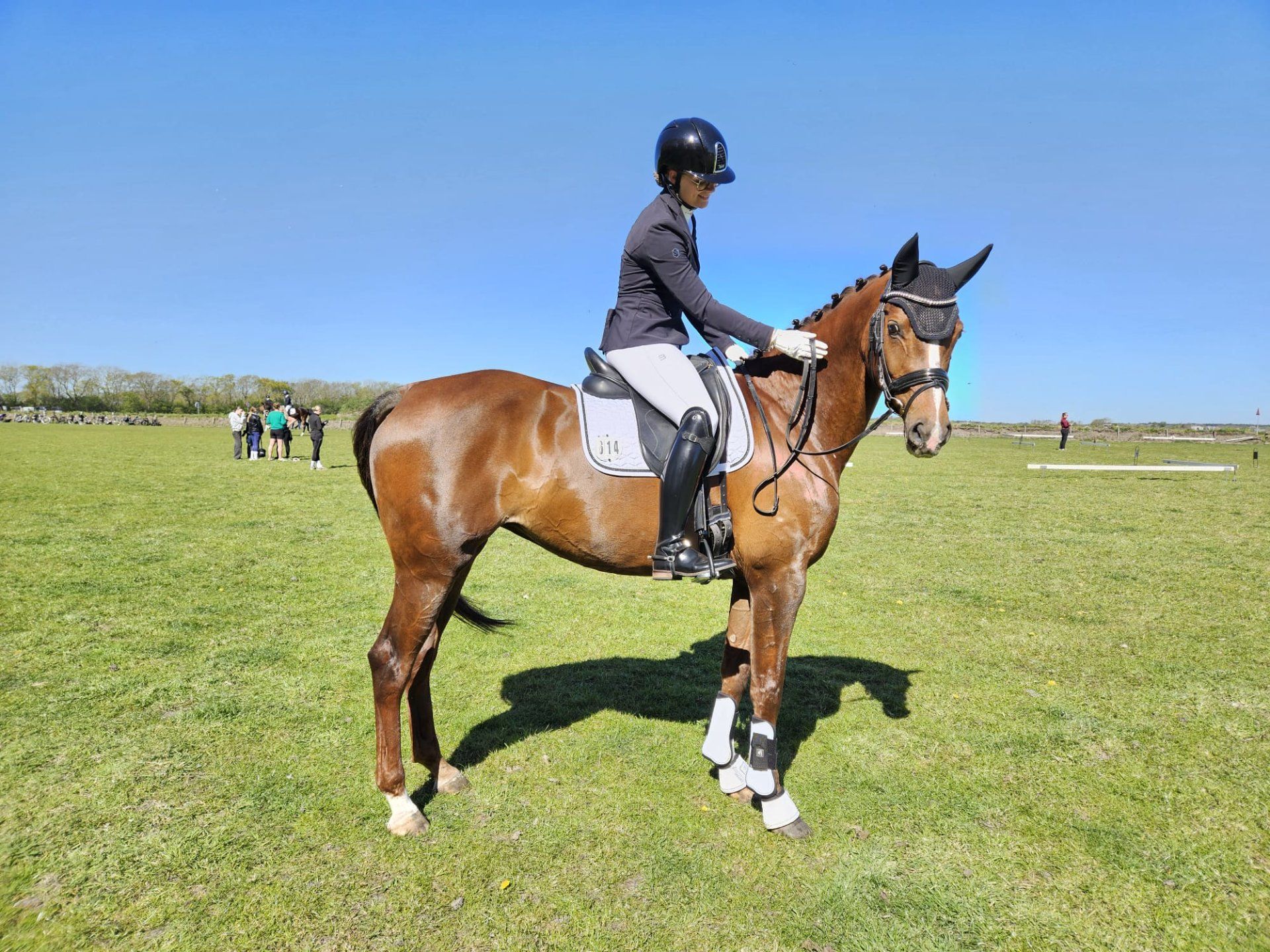 kwpn dressuurpaard merrie 11 jaar vos te koop - Foto 3
