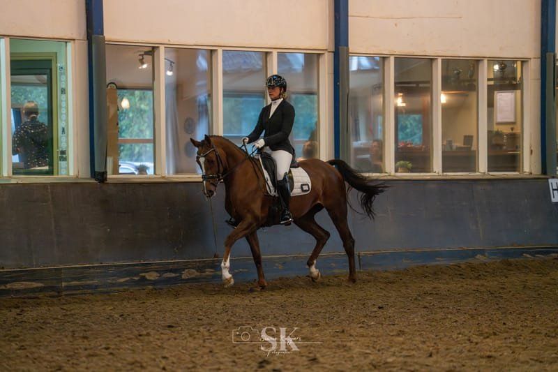 kwpn dressuurpaard merrie 11 jaar vos te koop - Foto 6