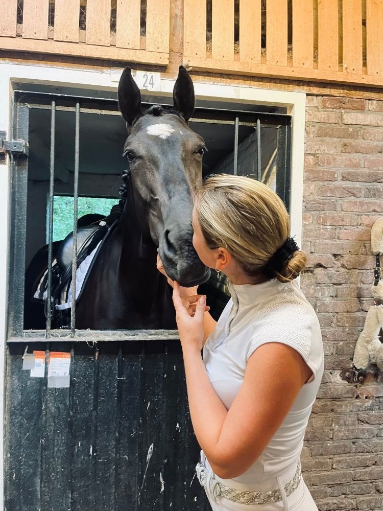 KWPN dressuurpaard Merrie 4 jaar te koop - Foto 2
